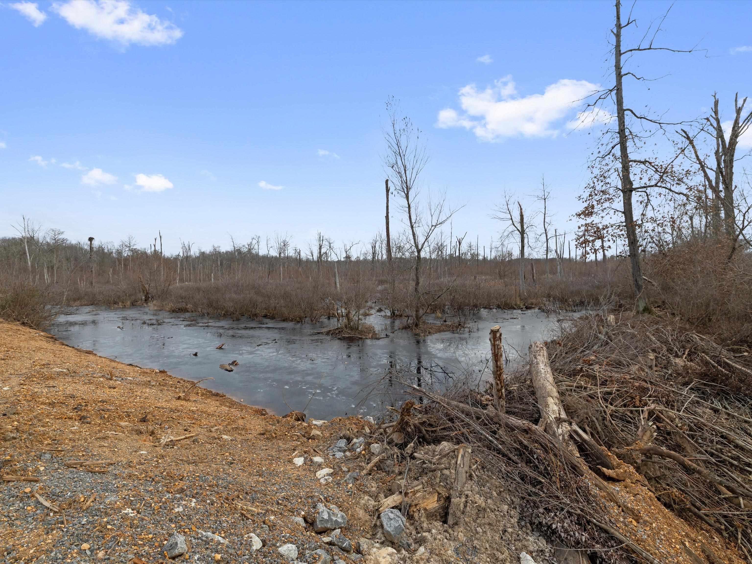 000 Red River Rd, Gilbertsville, Kentucky 42044, ,Land,For Sale,Red River Rd,93992