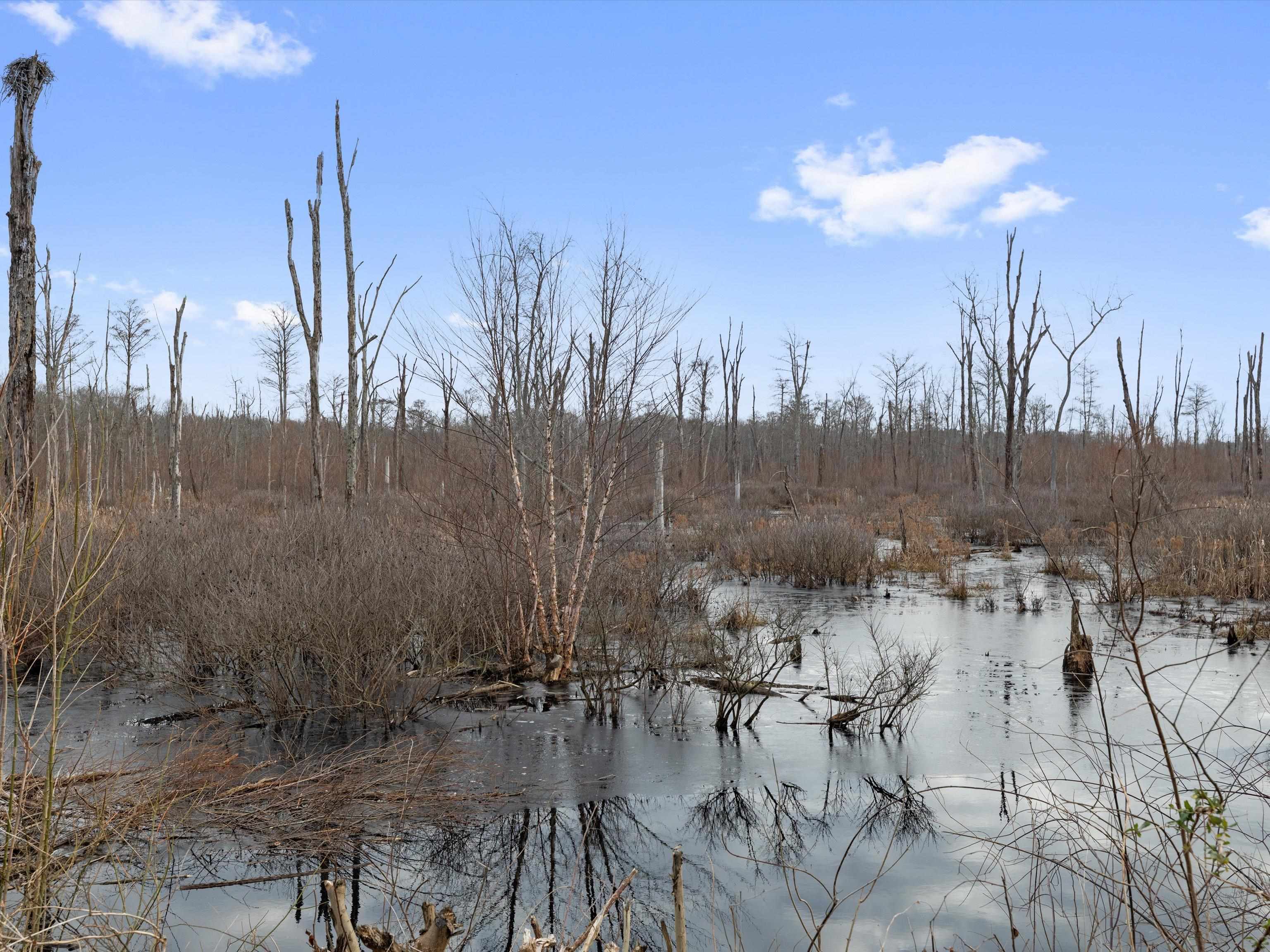 000 Red River Rd, Gilbertsville, Kentucky 42044, ,Land,For Sale,Red River Rd,93992