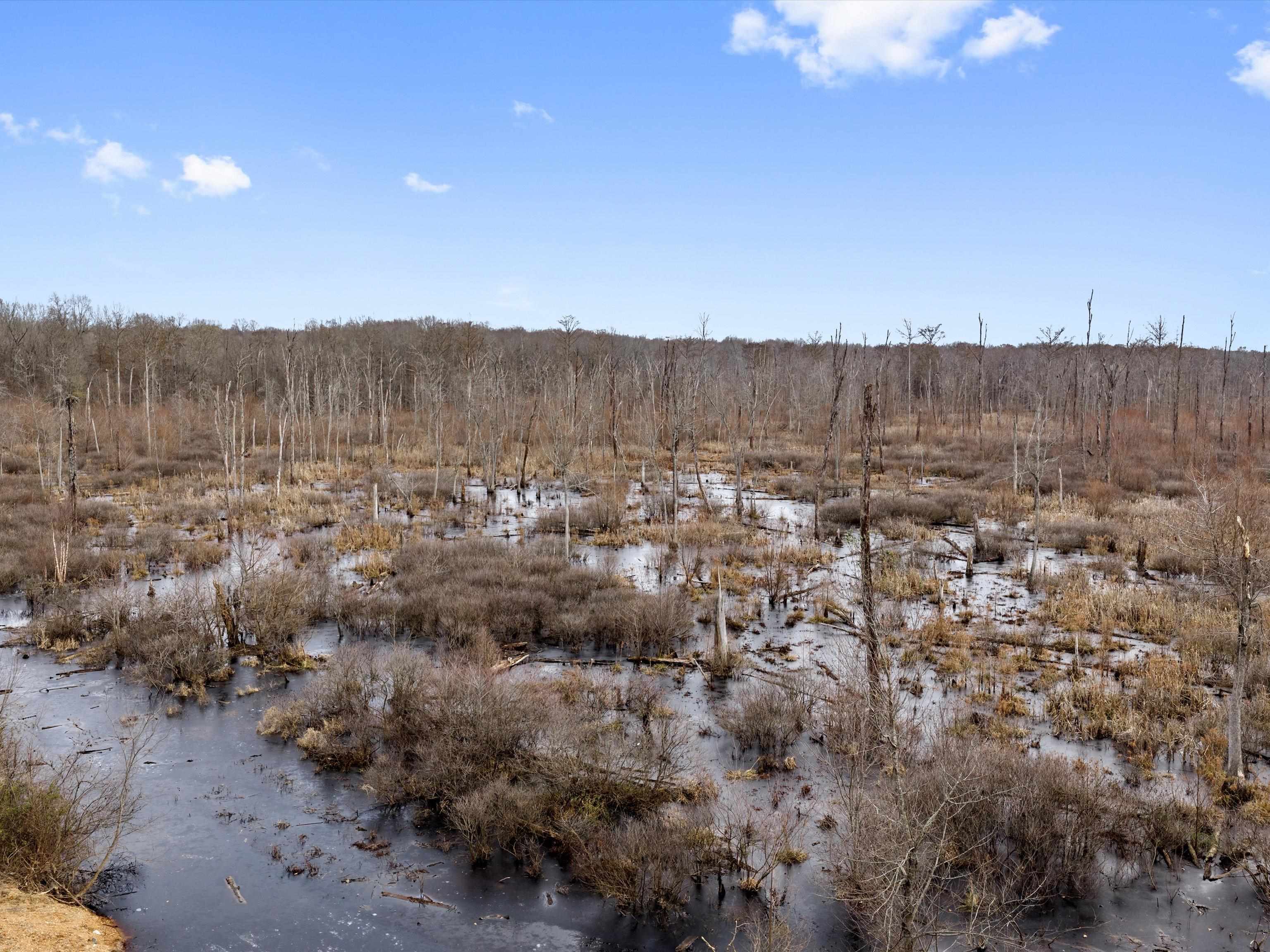 000 Red River Rd, Gilbertsville, Kentucky 42044, ,Land,For Sale,Red River Rd,93992