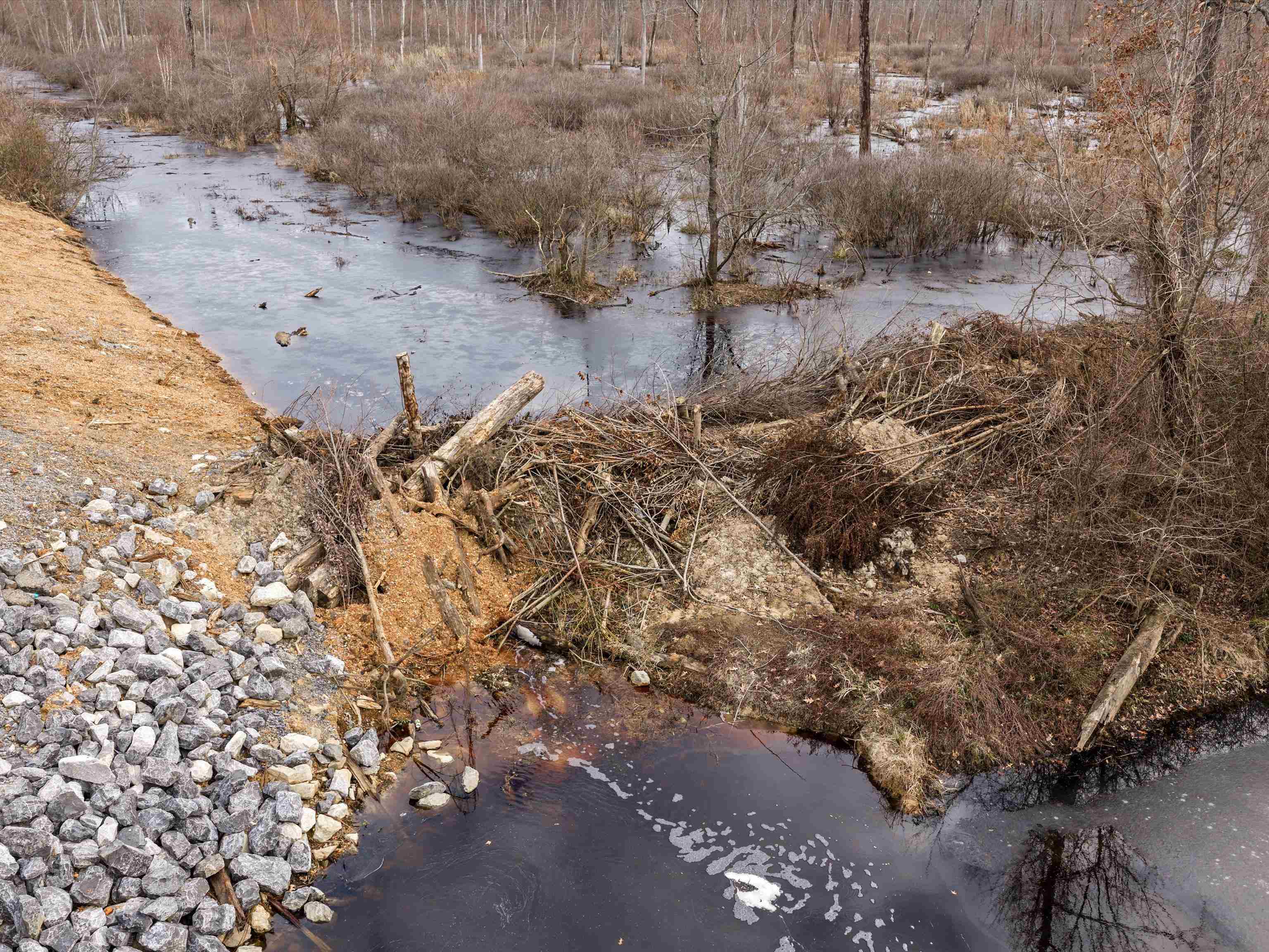 000 Red River Rd, Gilbertsville, Kentucky 42044, ,Land,For Sale,Red River Rd,93992