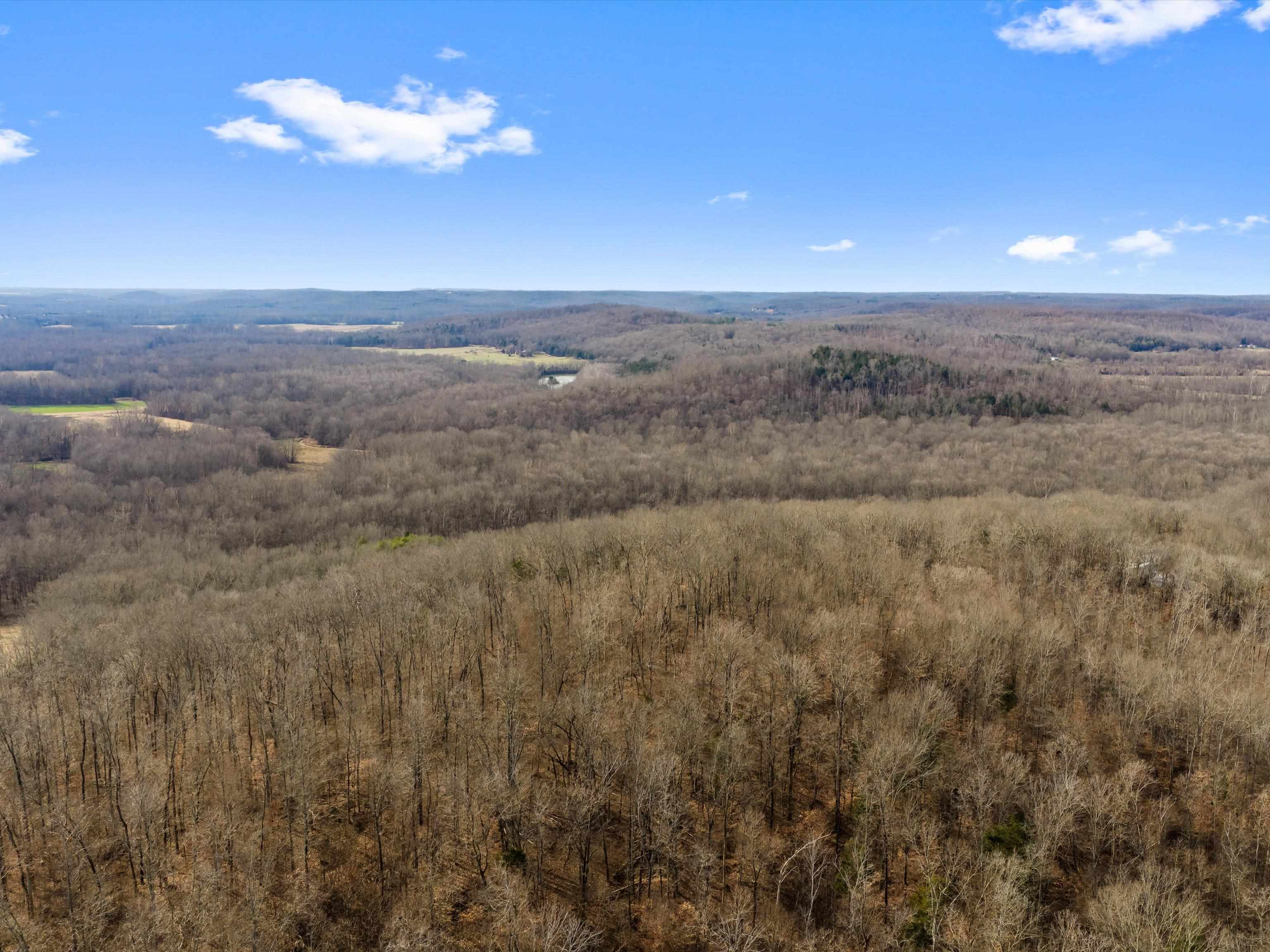 000 Red River Rd, Gilbertsville, Kentucky 42044, ,Land,For Sale,Red River Rd,93992