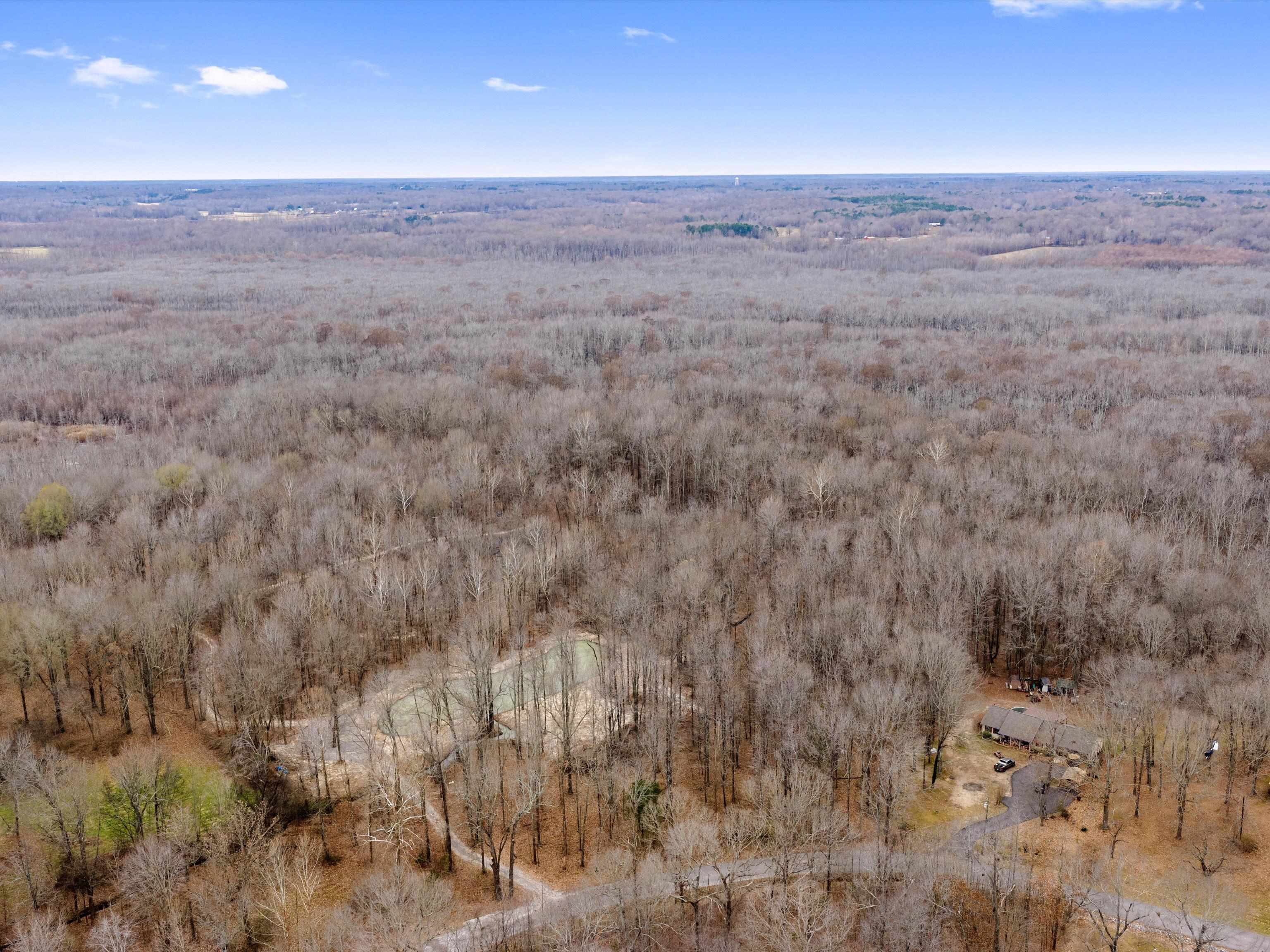 000 Red River Rd, Gilbertsville, Kentucky 42044, ,Land,For Sale,Red River Rd,93992