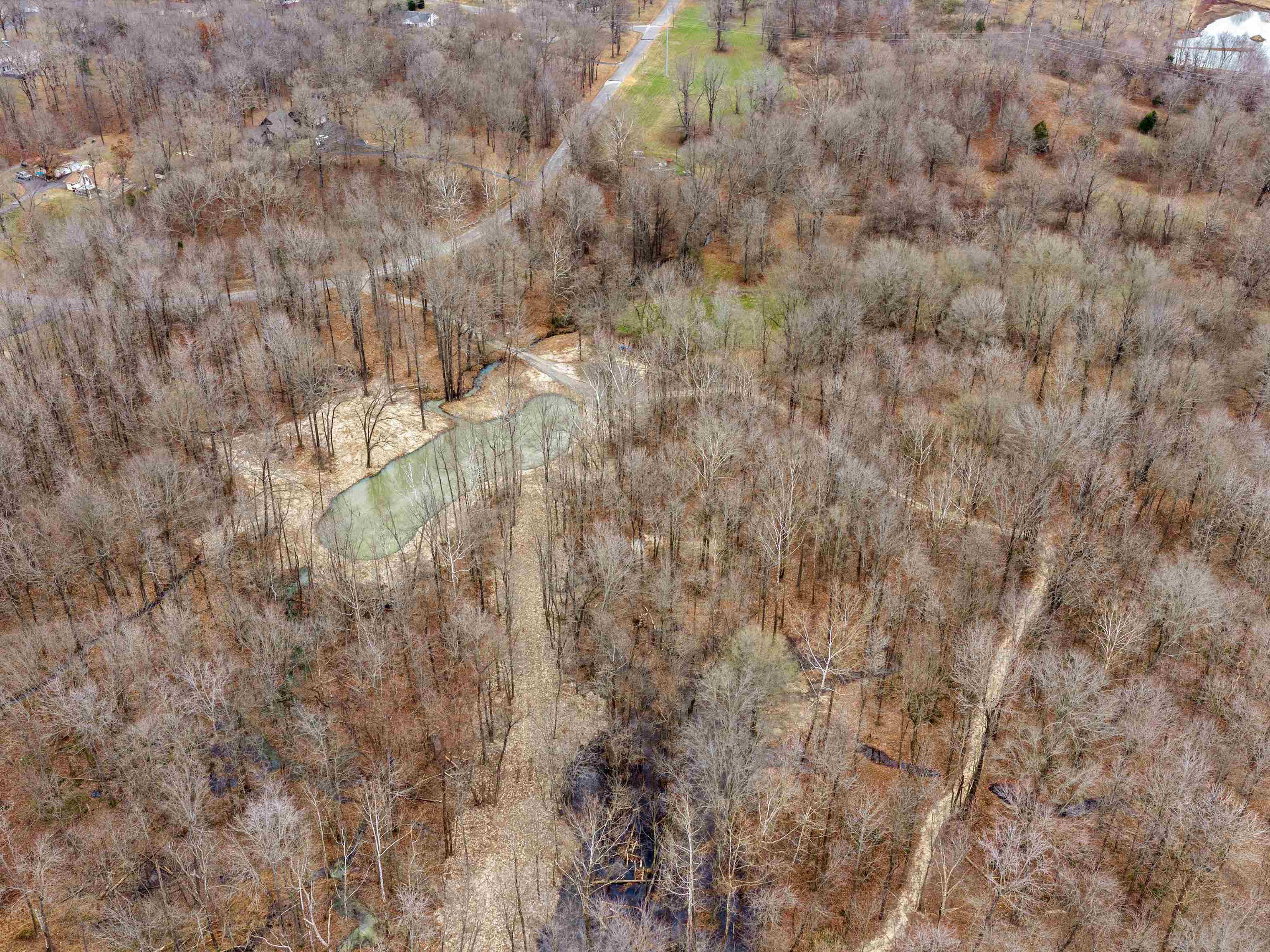 000 Red River Rd, Gilbertsville, Kentucky 42044, ,Land,For Sale,Red River Rd,93992