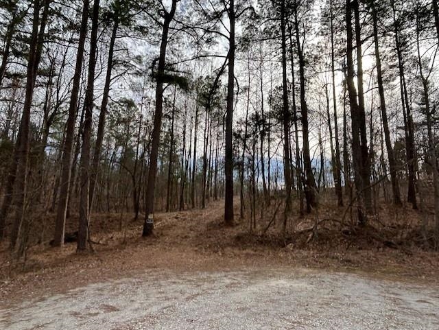 938 Kassinger Ln, Hartford, Kentucky 42347, ,Land,For Sale,Kassinger Ln,94006