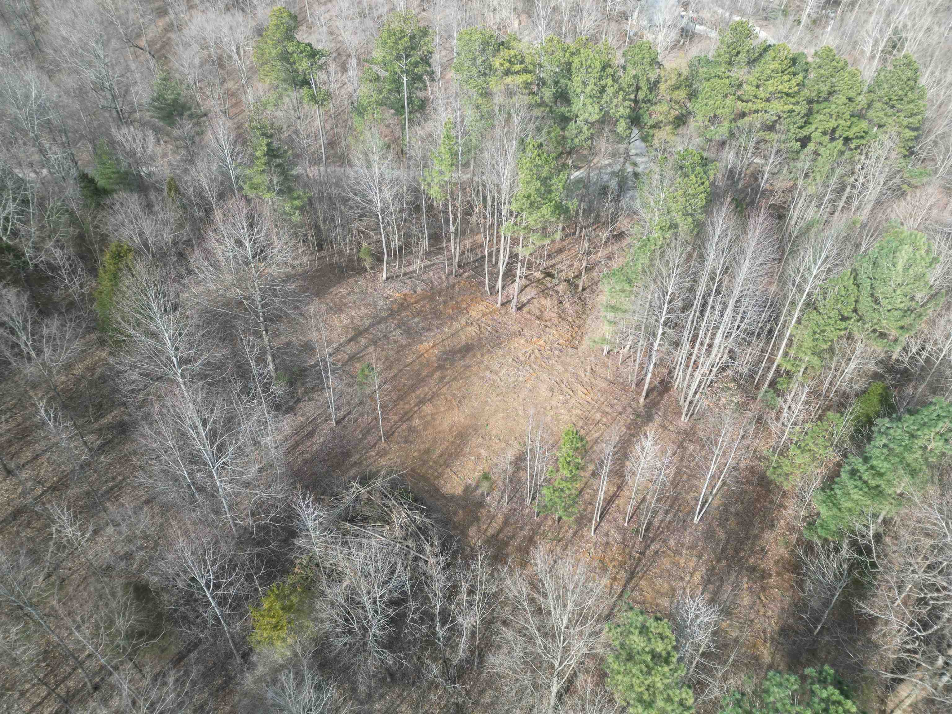 938 Kassinger Ln, Hartford, Kentucky 42347, ,Land,For Sale,Kassinger Ln,94006