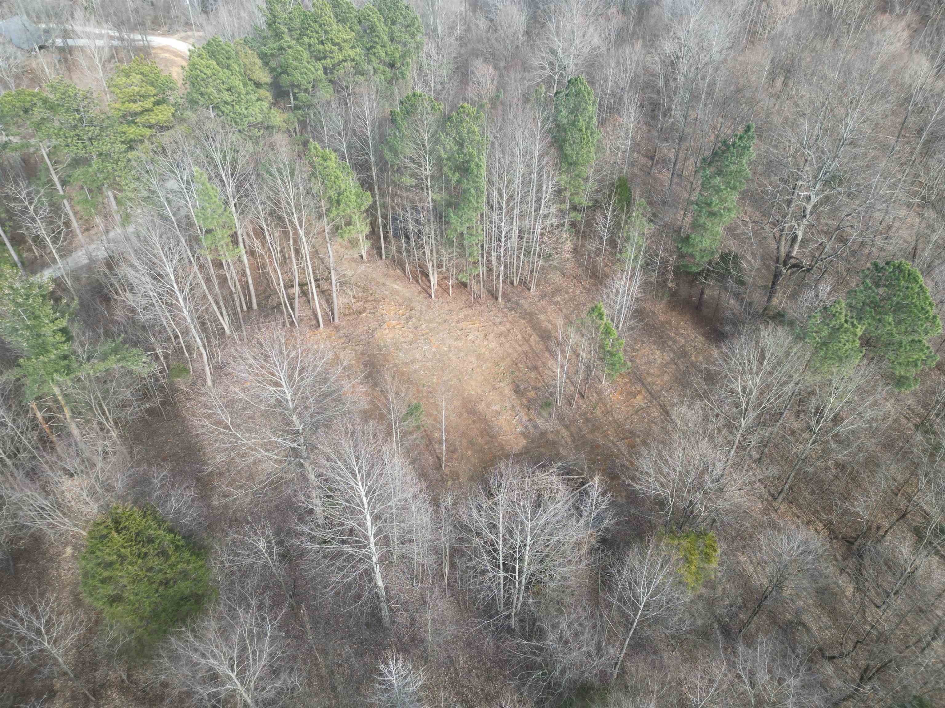 938 Kassinger Ln, Hartford, Kentucky 42347, ,Land,For Sale,Kassinger Ln,94006