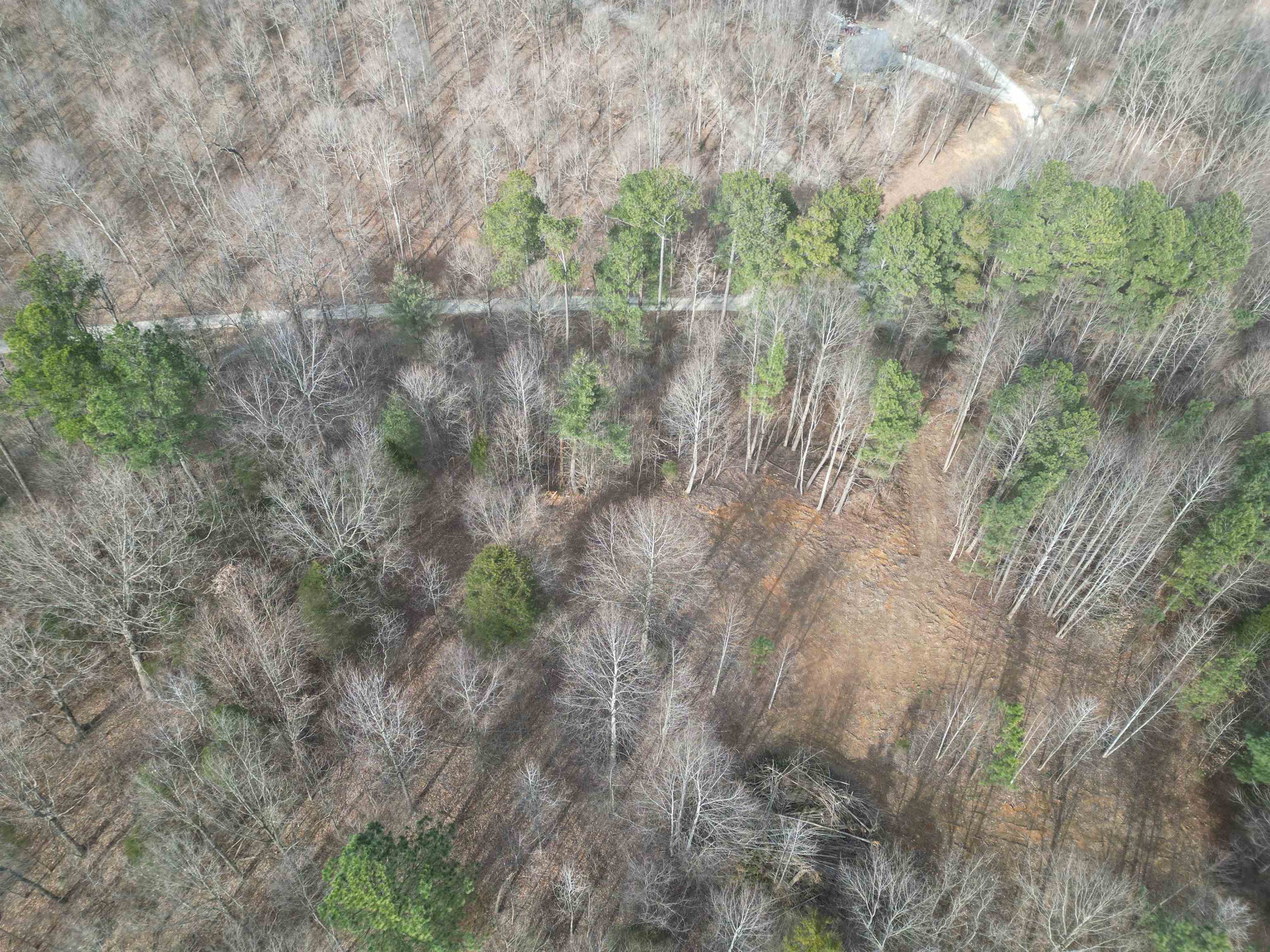 938 Kassinger Ln, Hartford, Kentucky 42347, ,Land,For Sale,Kassinger Ln,94006