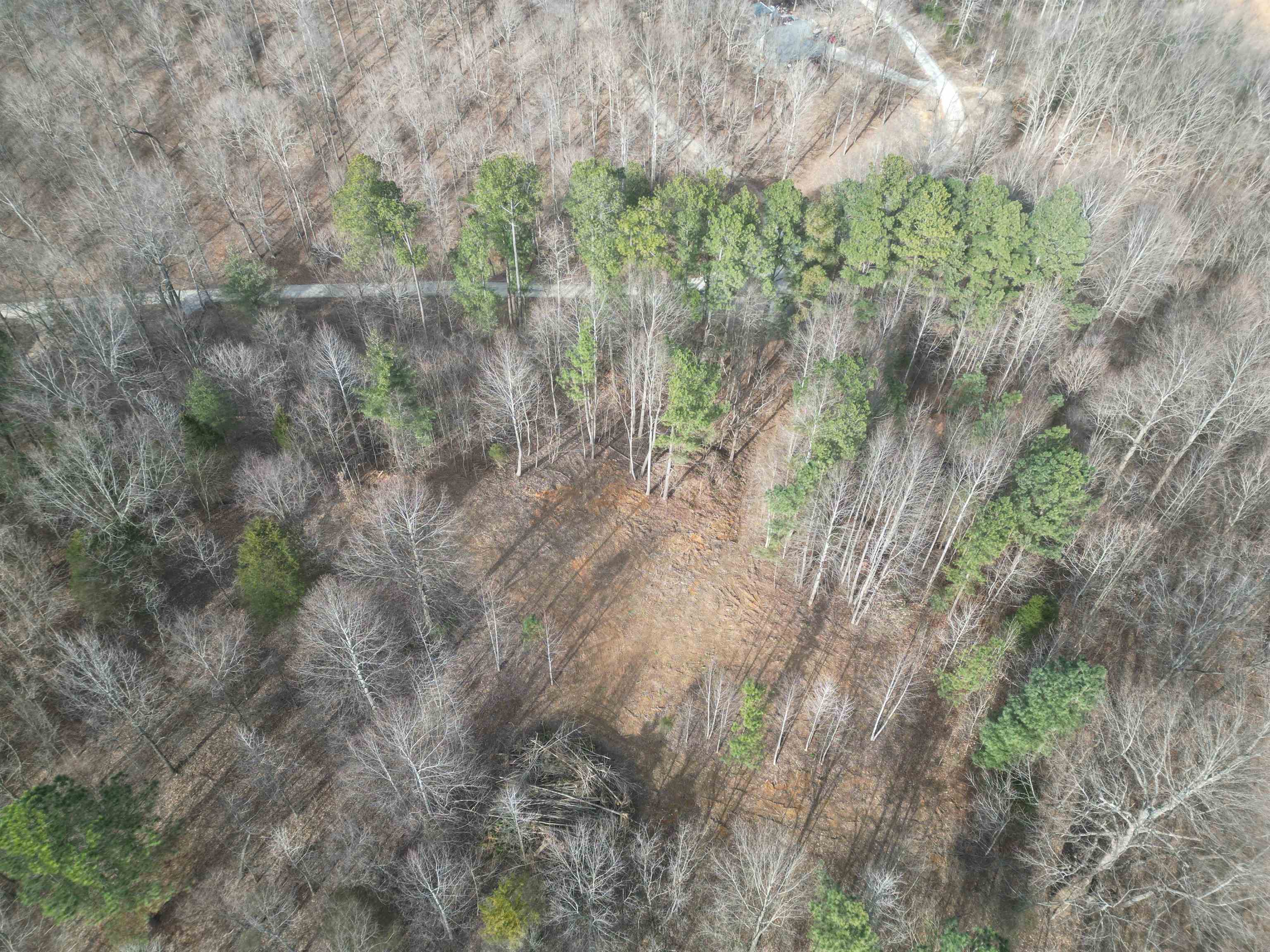 938 Kassinger Ln, Hartford, Kentucky 42347, ,Land,For Sale,Kassinger Ln,94006