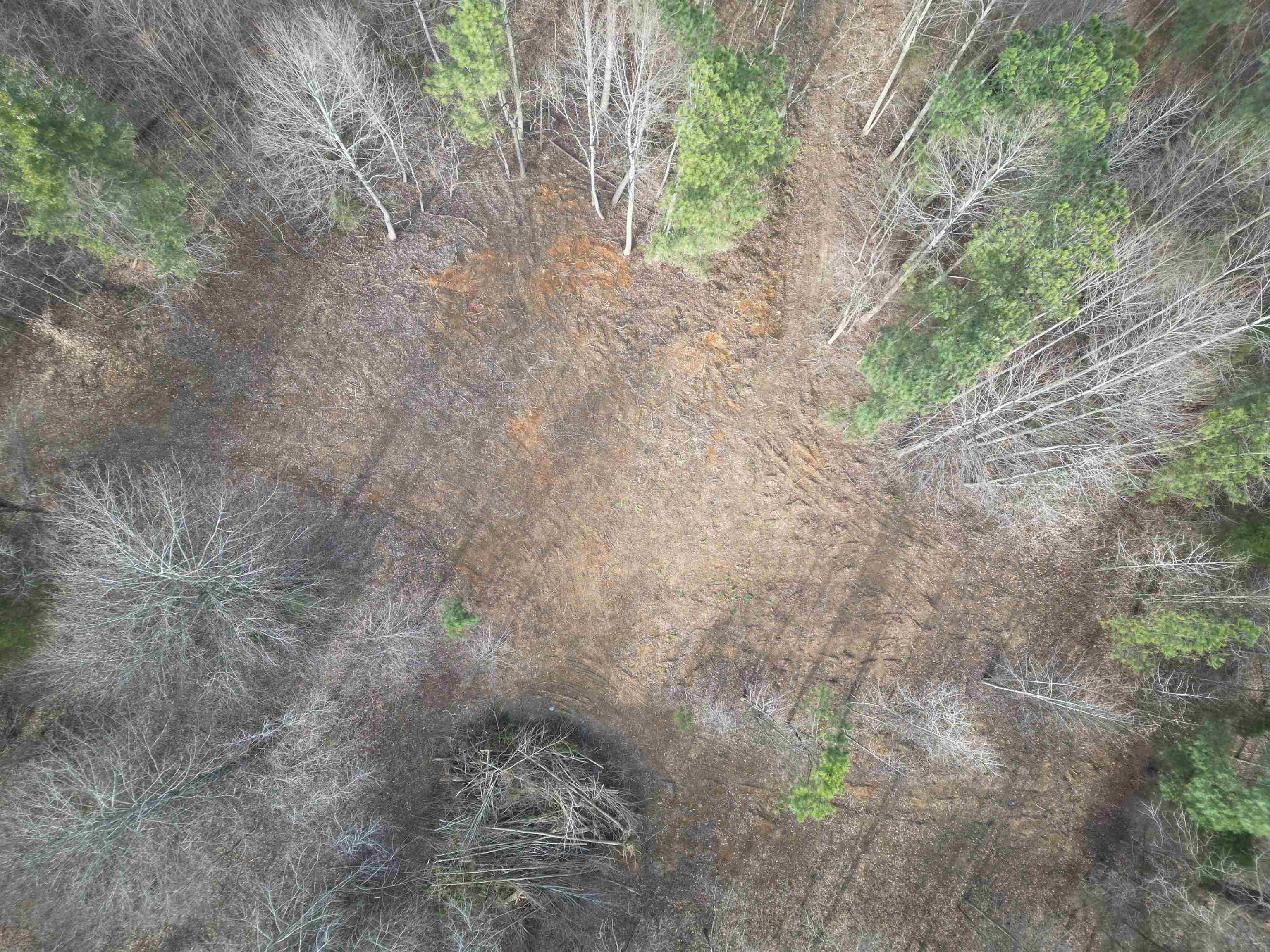 938 Kassinger Ln, Hartford, Kentucky 42347, ,Land,For Sale,Kassinger Ln,94006