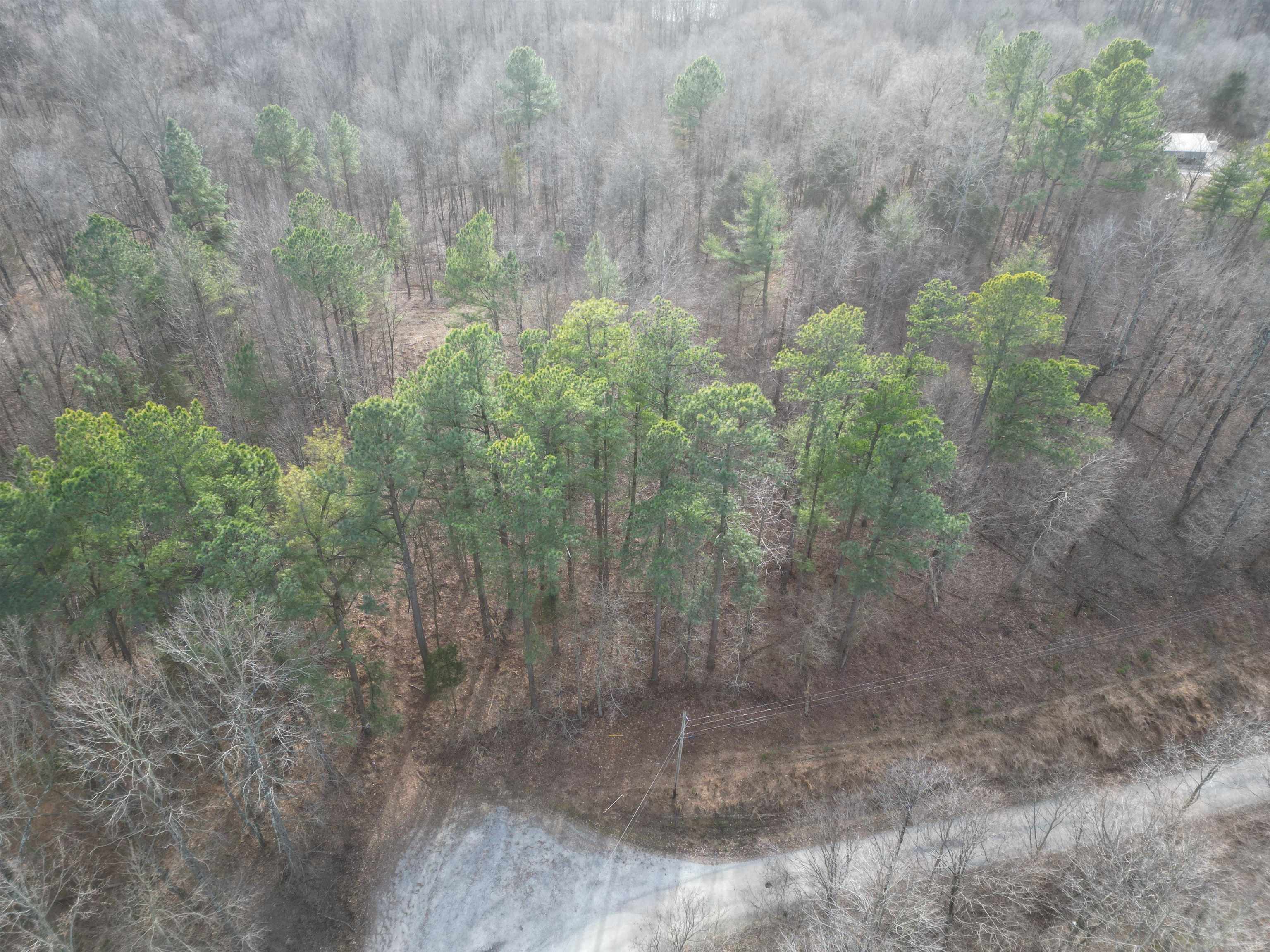 938 Kassinger Ln, Hartford, Kentucky 42347, ,Land,For Sale,Kassinger Ln,94006