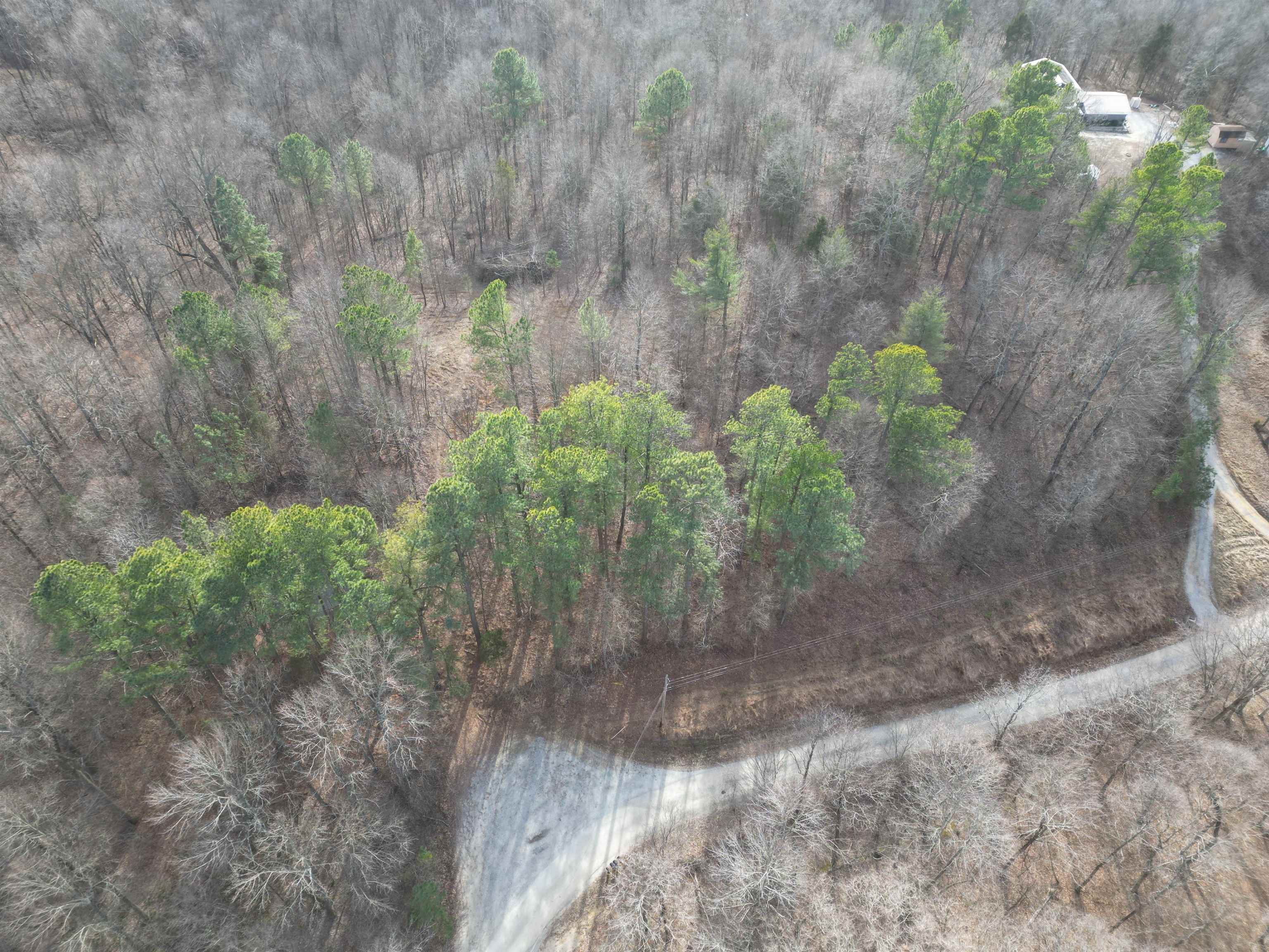 938 Kassinger Ln, Hartford, Kentucky 42347, ,Land,For Sale,Kassinger Ln,94006