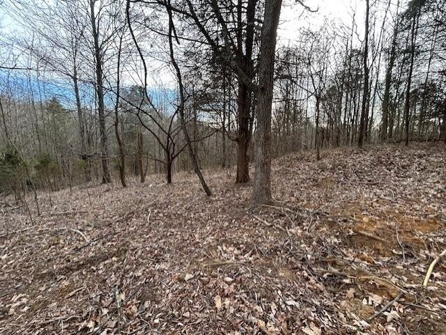 938 Kassinger Ln, Hartford, Kentucky 42347, ,Land,For Sale,Kassinger Ln,94006