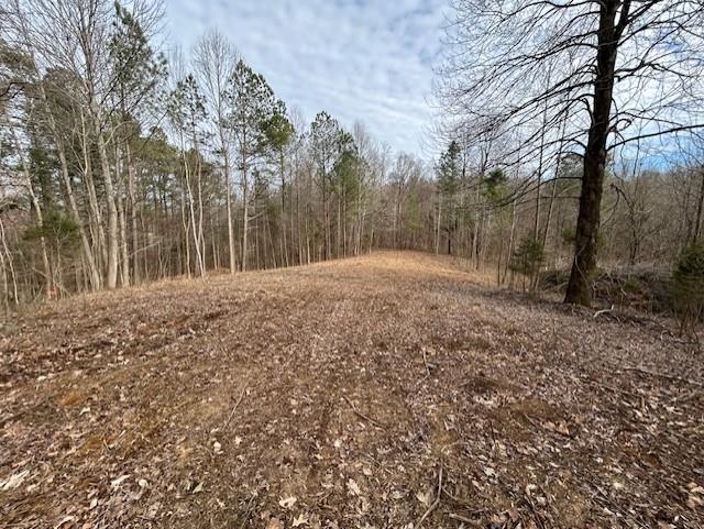 938 Kassinger Ln, Hartford, Kentucky 42347, ,Land,For Sale,Kassinger Ln,94006