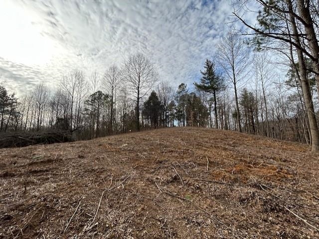 938 Kassinger Ln, Hartford, Kentucky 42347, ,Land,For Sale,Kassinger Ln,94006