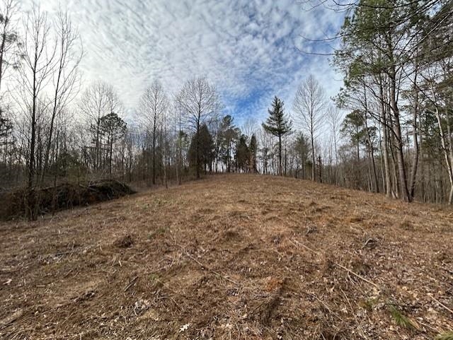 938 Kassinger Ln, Hartford, Kentucky 42347, ,Land,For Sale,Kassinger Ln,94006