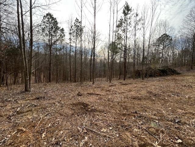 938 Kassinger Ln, Hartford, Kentucky 42347, ,Land,For Sale,Kassinger Ln,94006