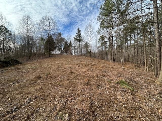 938 Kassinger Ln, Hartford, Kentucky 42347, ,Land,For Sale,Kassinger Ln,94006