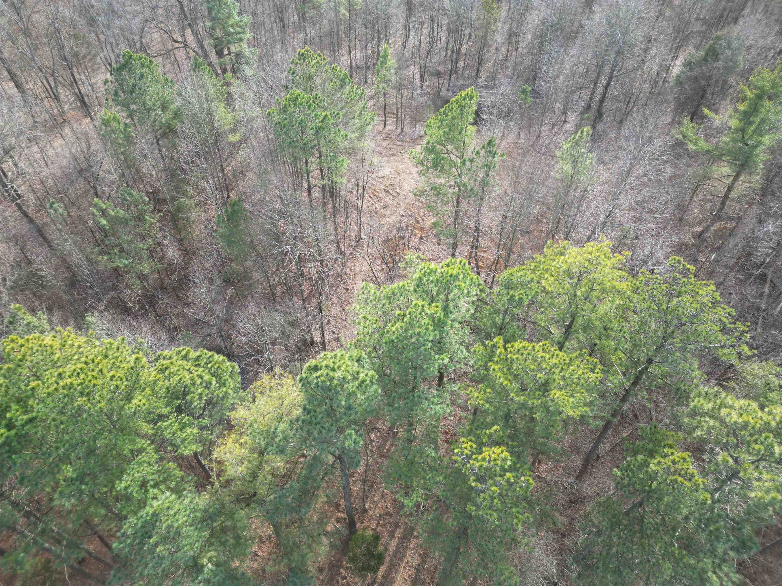 938 Kassinger Ln, Hartford, Kentucky 42347, ,Land,For Sale,Kassinger Ln,94006