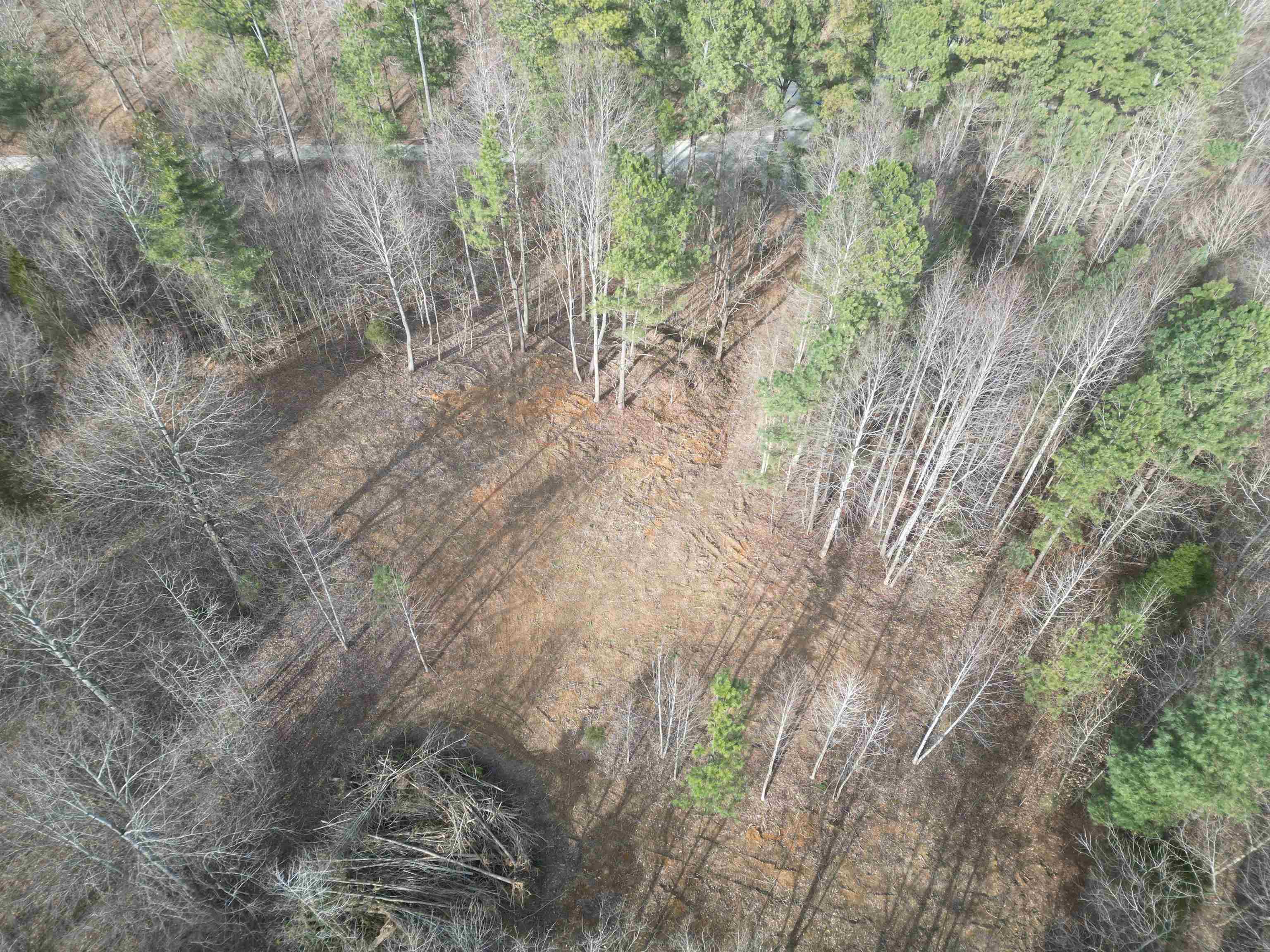 938 Kassinger Ln, Hartford, Kentucky 42347, ,Land,For Sale,Kassinger Ln,94006