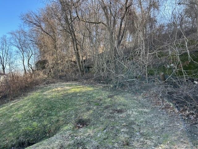 280 Monroe St, Hawesville, Kentucky 42348, ,Land,For Sale,Monroe St,94007