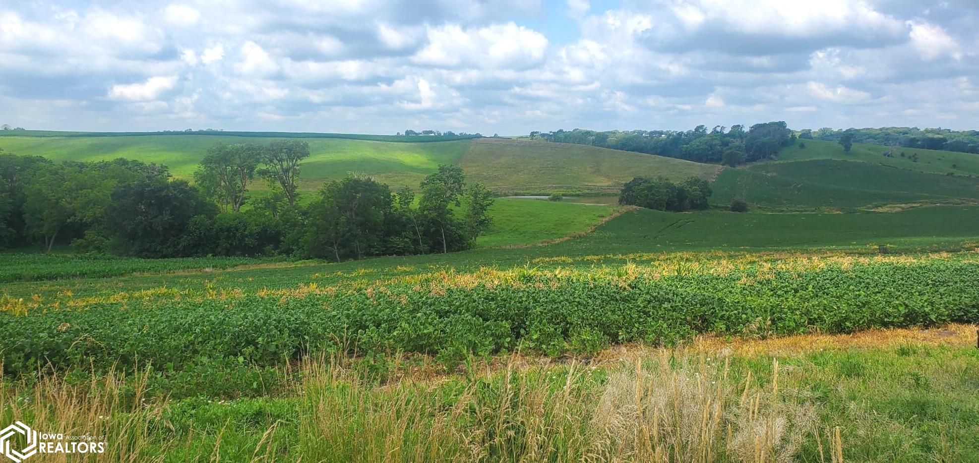 Lot 9 Donna Reed Road, Denison, Iowa image 2