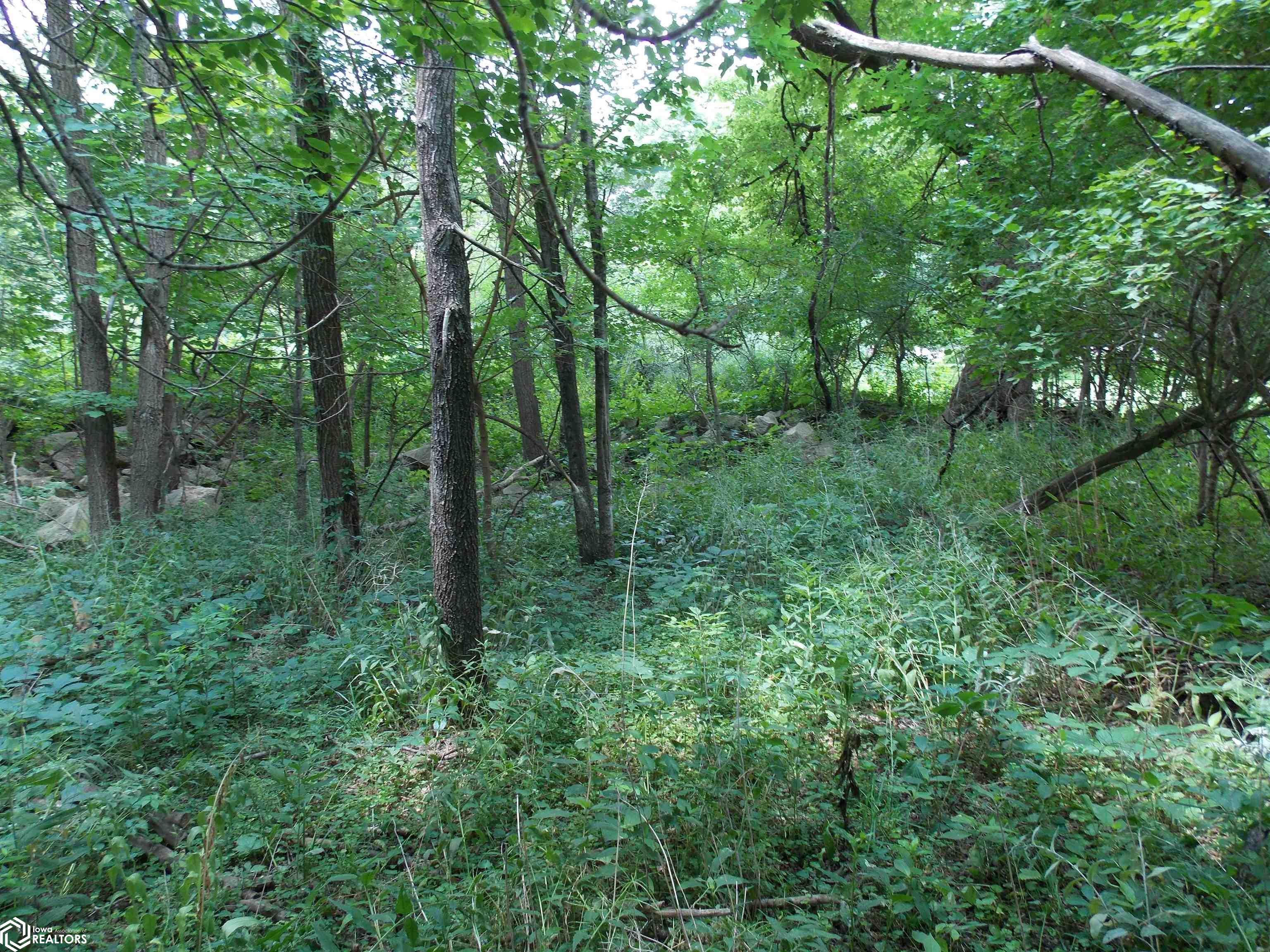 1100 Tennessee, Mason City, Iowa 50401, ,Lots & Land,For Sale,Tennessee,6309442