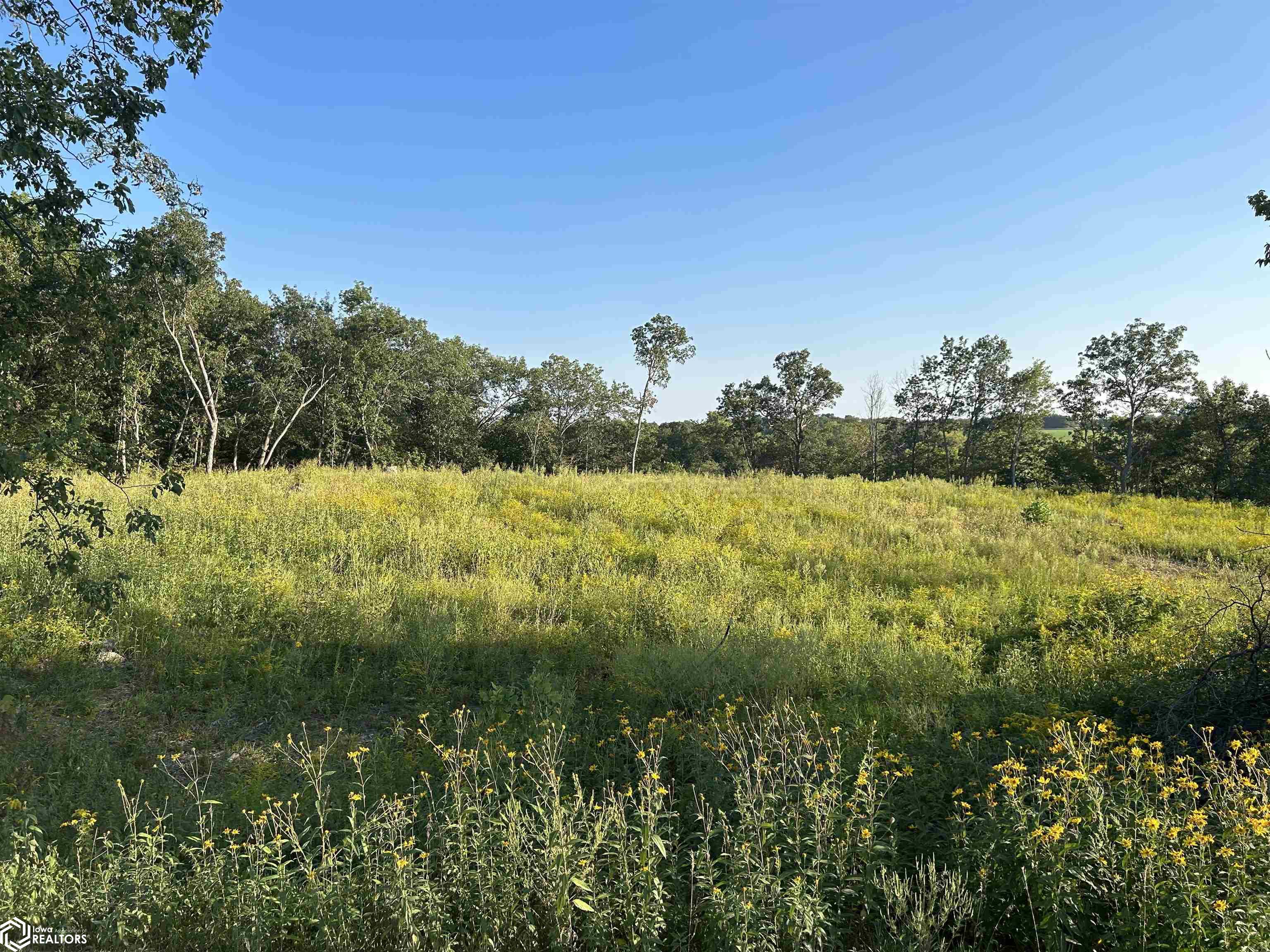 Lot 4 Creek View Drive, Mount Pleasant, Iowa image 2