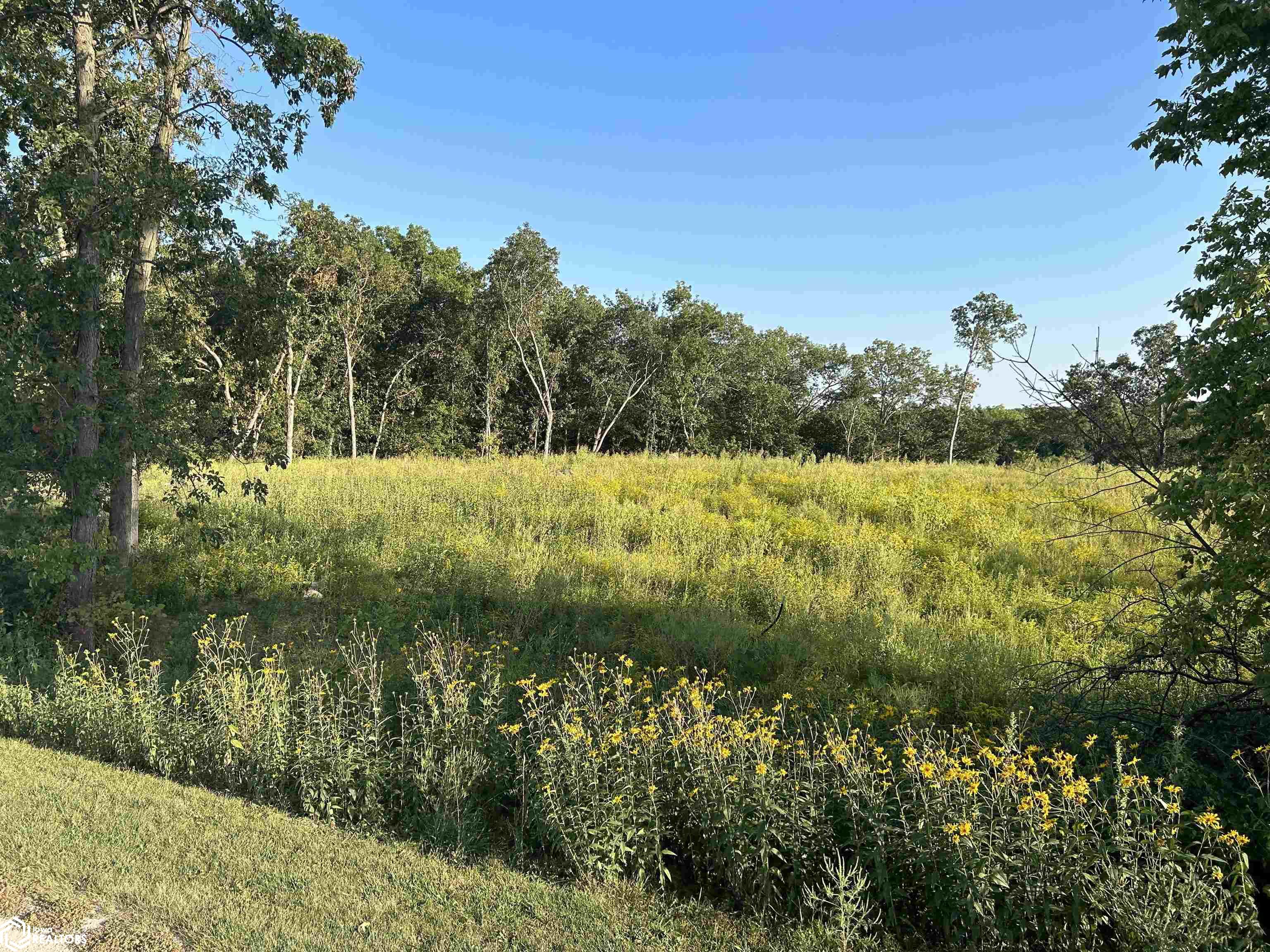 Lot 4 Creek View Drive, Mount Pleasant, Iowa image 3