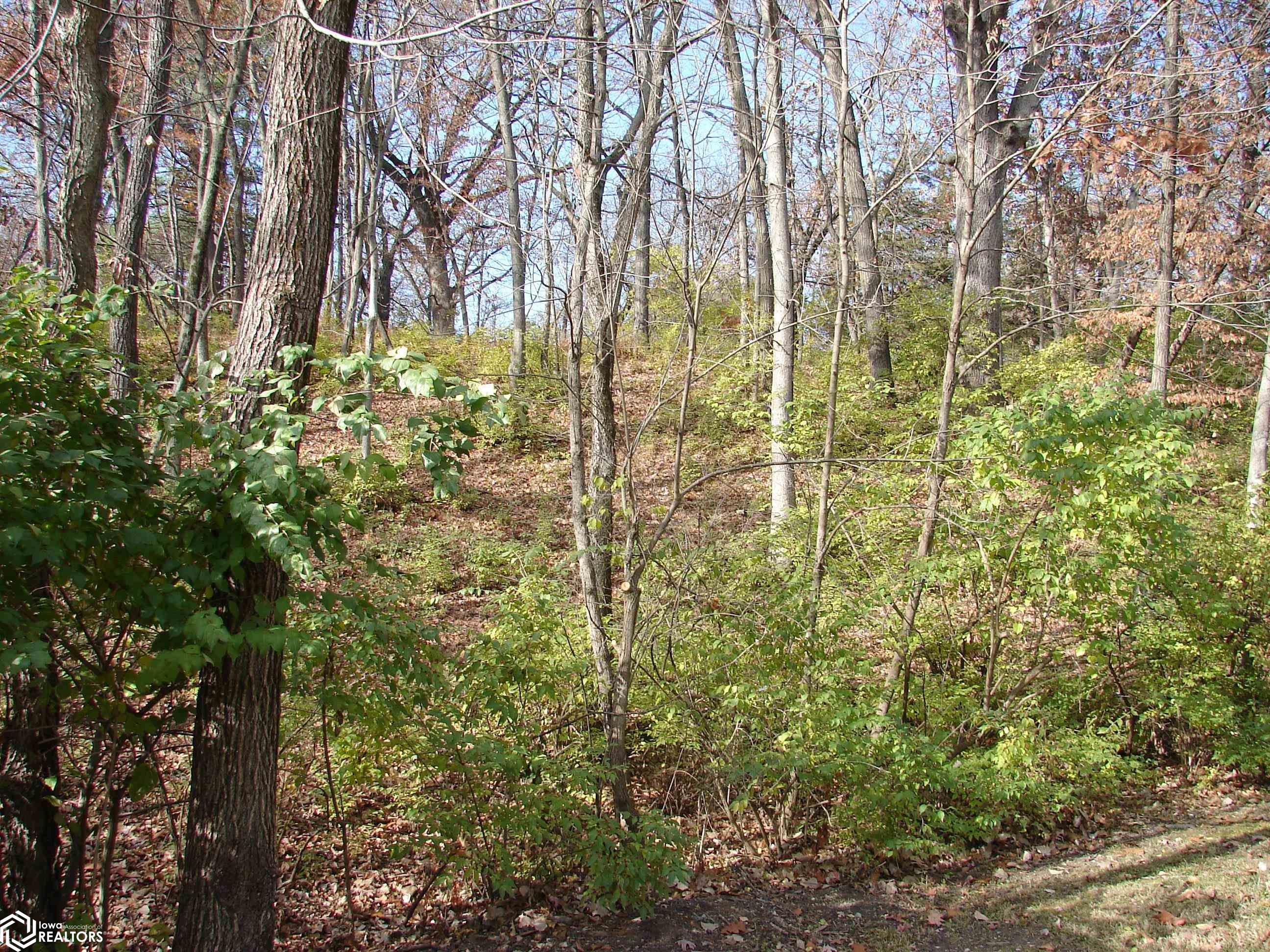 Lot 1 S Hoaglin Drive, Mount Pleasant, Iowa image 1