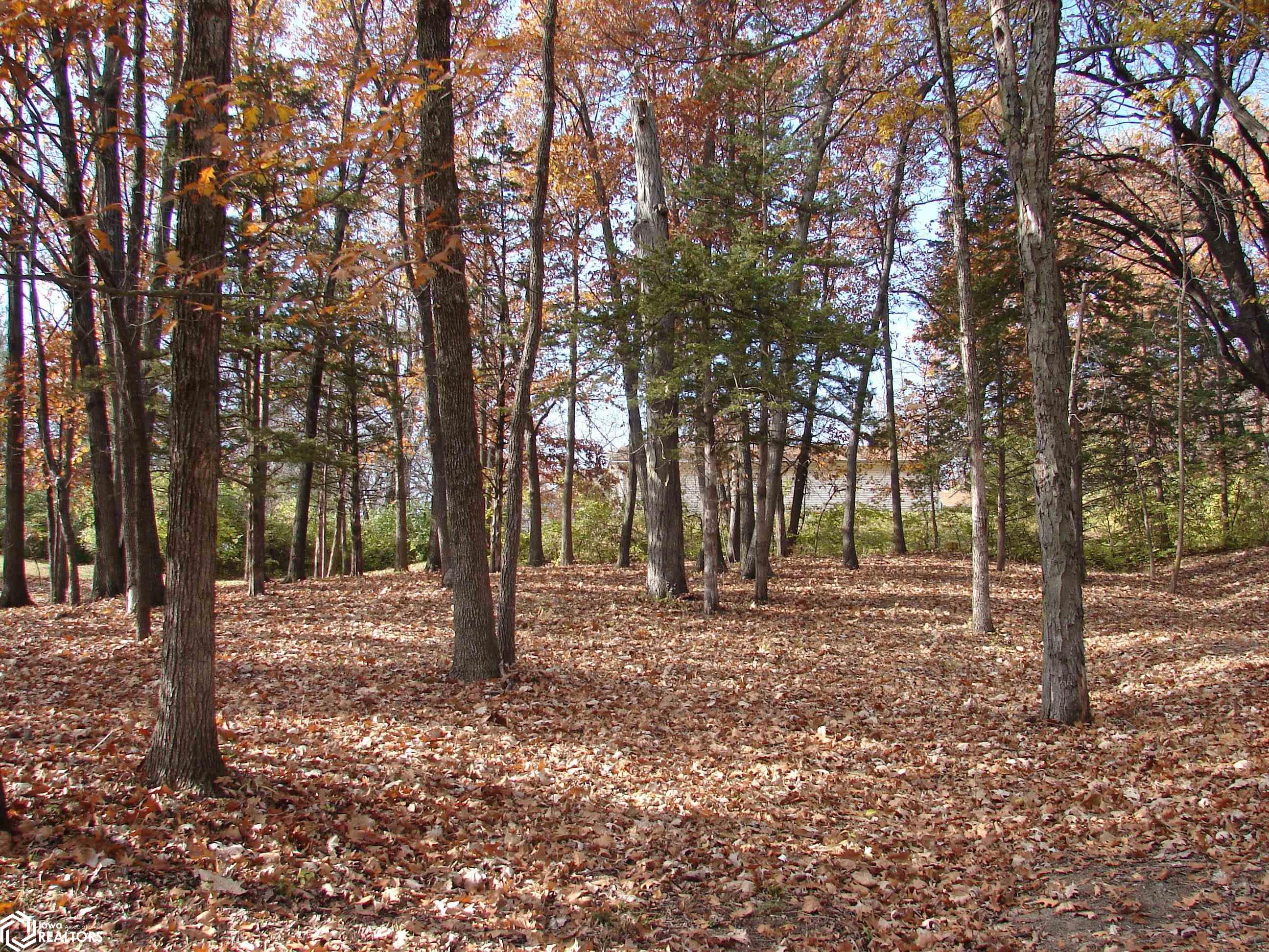 Lot 3 S Hoaglin Drive, Mount Pleasant, Iowa image 1