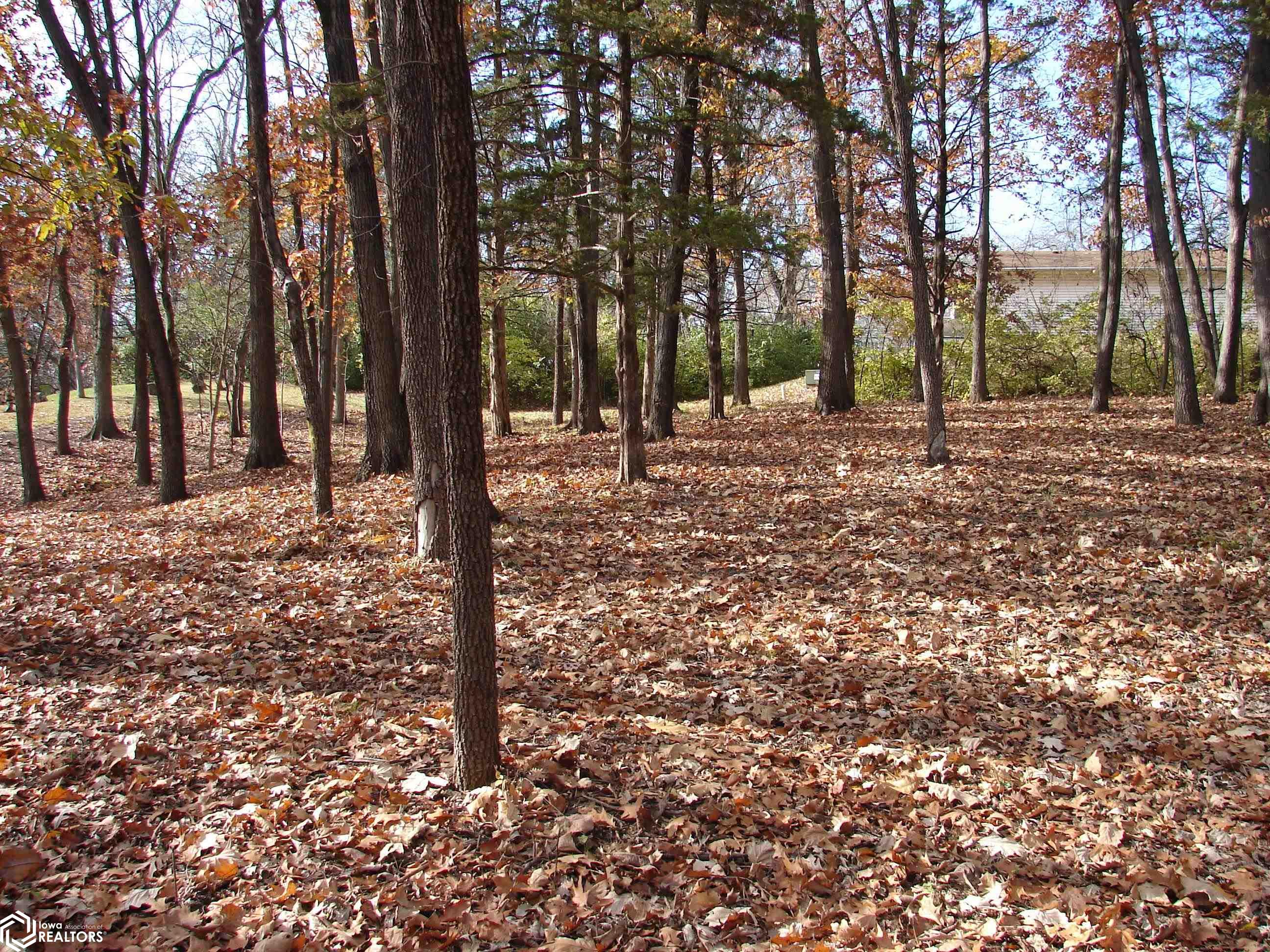 Lot 3 S Hoaglin Drive, Mount Pleasant, Iowa image 2