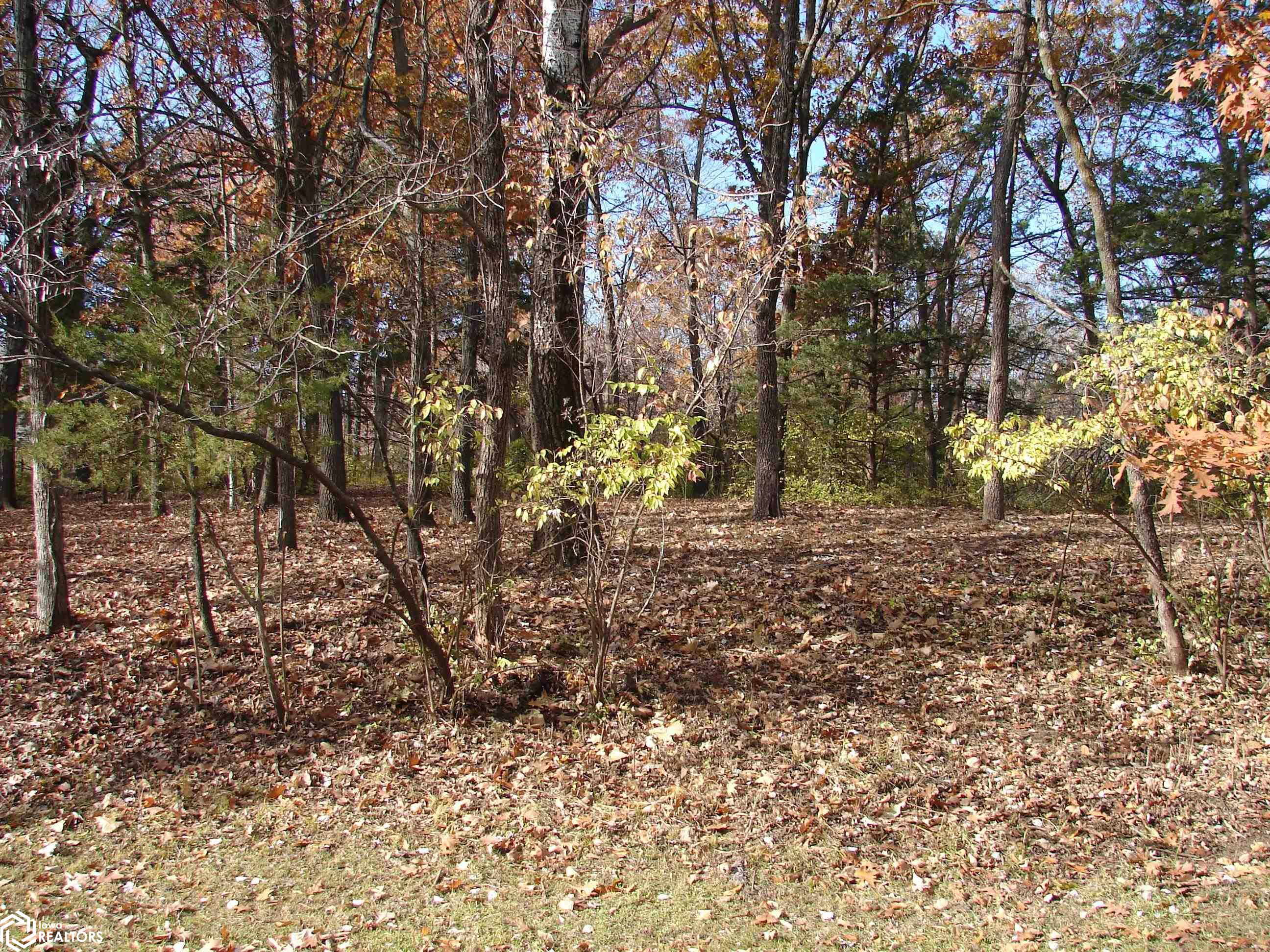 Lot 4 S Hoaglin Drive, Mount Pleasant, Iowa image 1