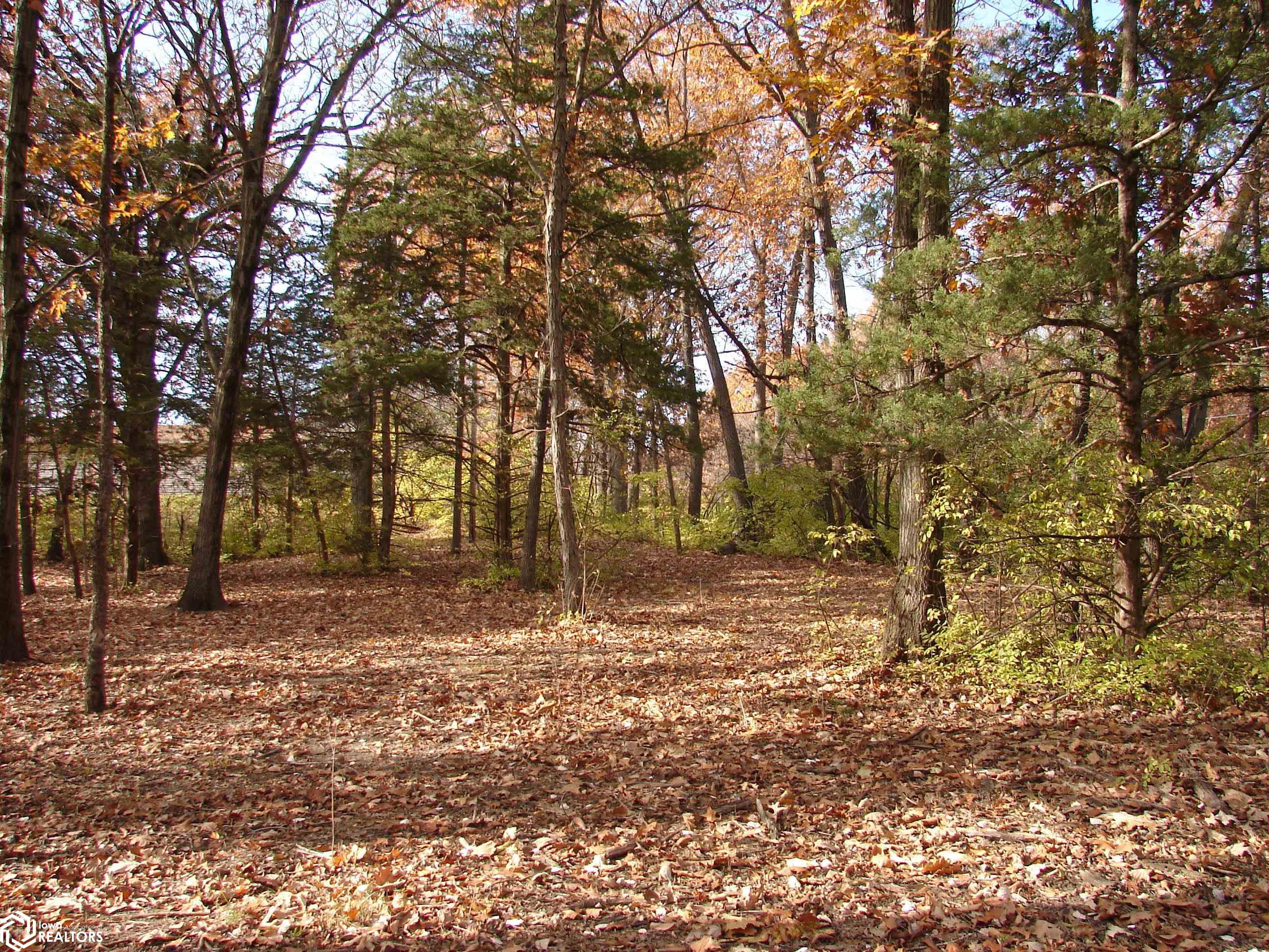 Lot 4 S Hoaglin Drive, Mount Pleasant, Iowa image 2