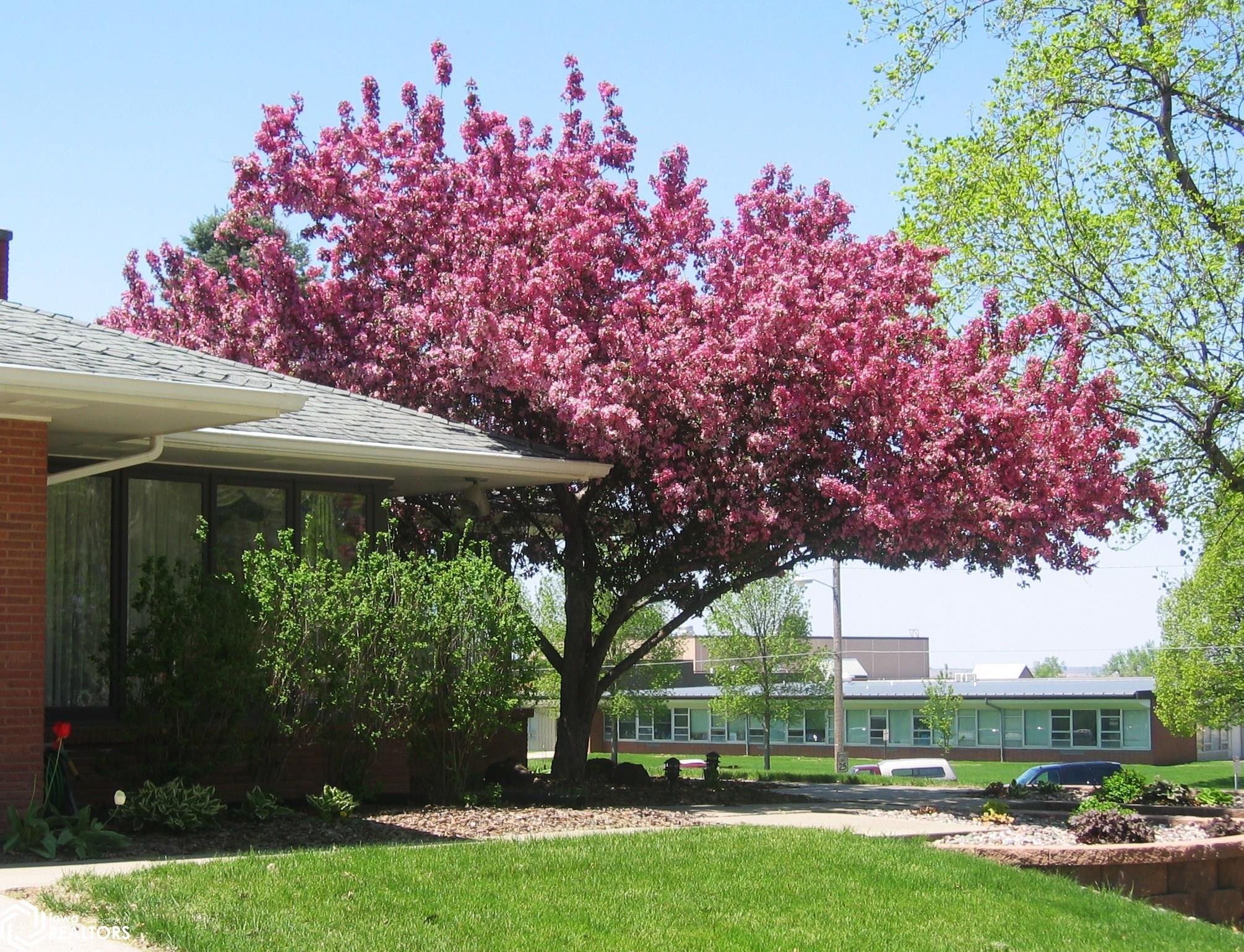 505 E 14th Street, Atlantic, Iowa image 11