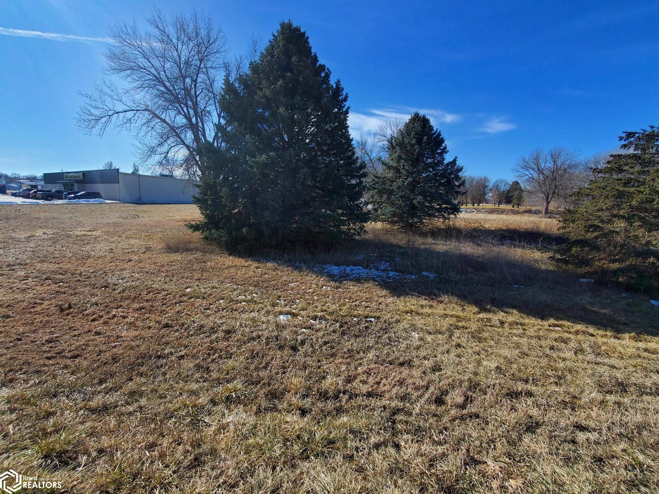 315 4th, Mapleton, Iowa 51034, ,Lots & Land,For Sale,4th,6314808