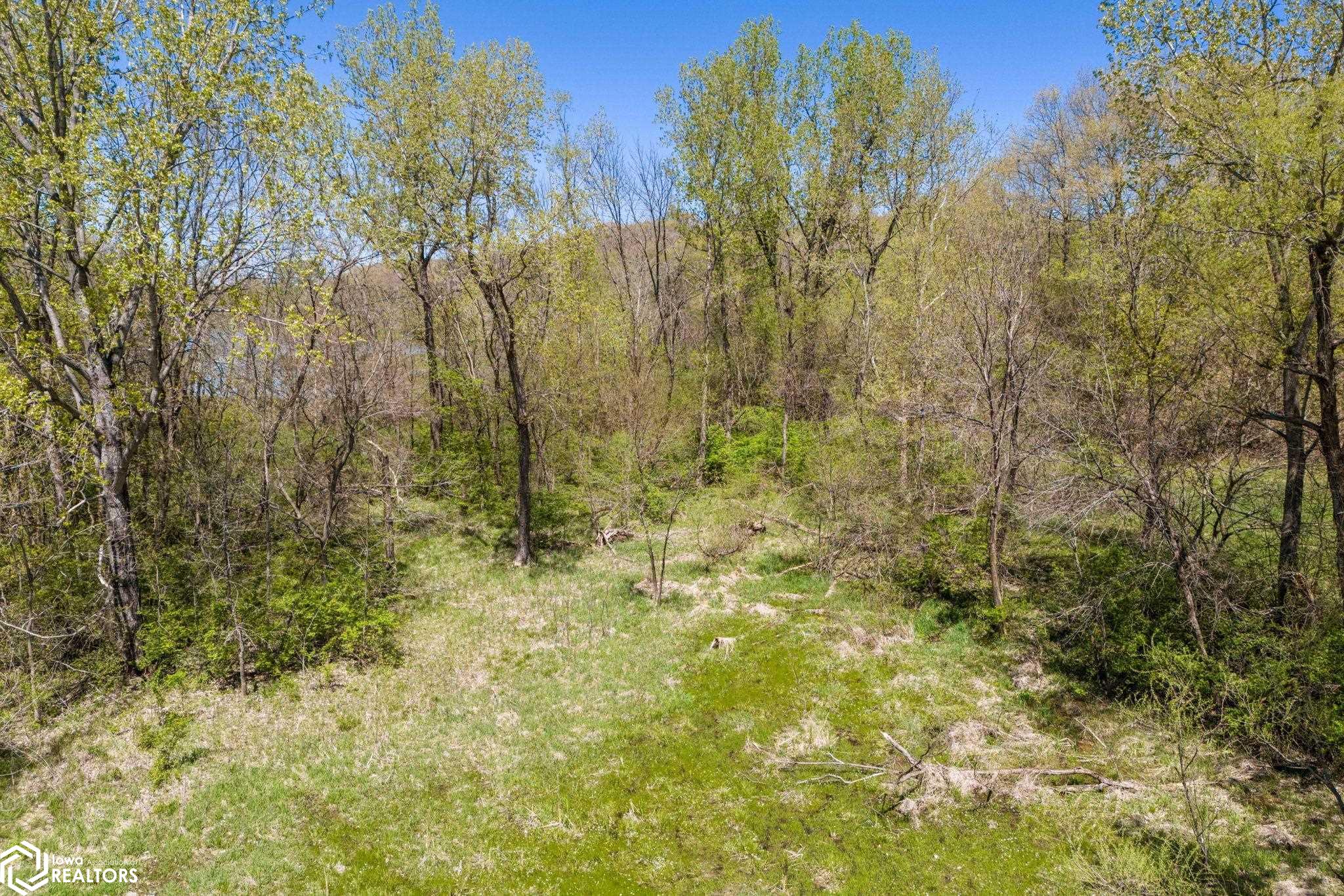11446 Highway 99, Wapello, Iowa image 21