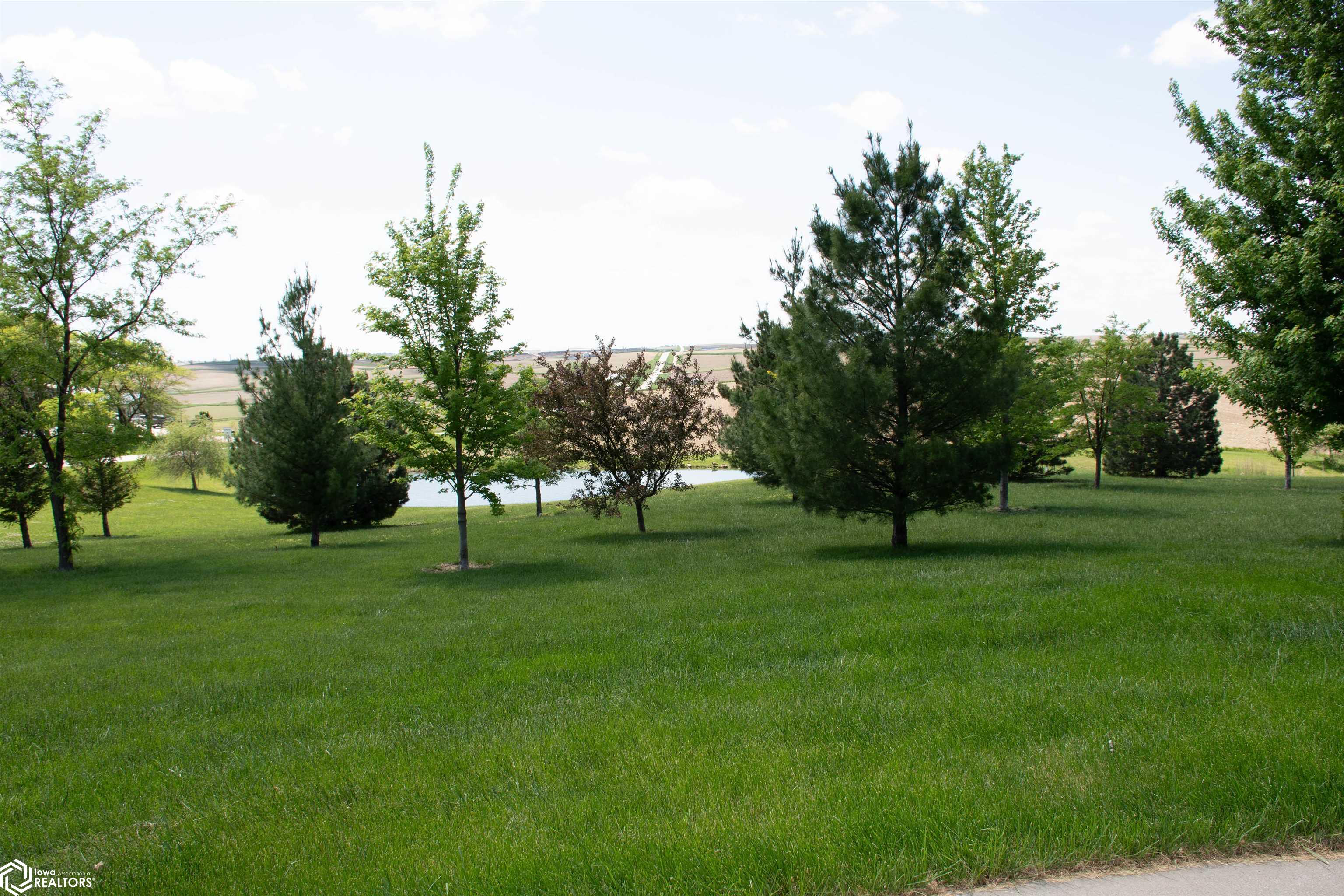 portfolio-image