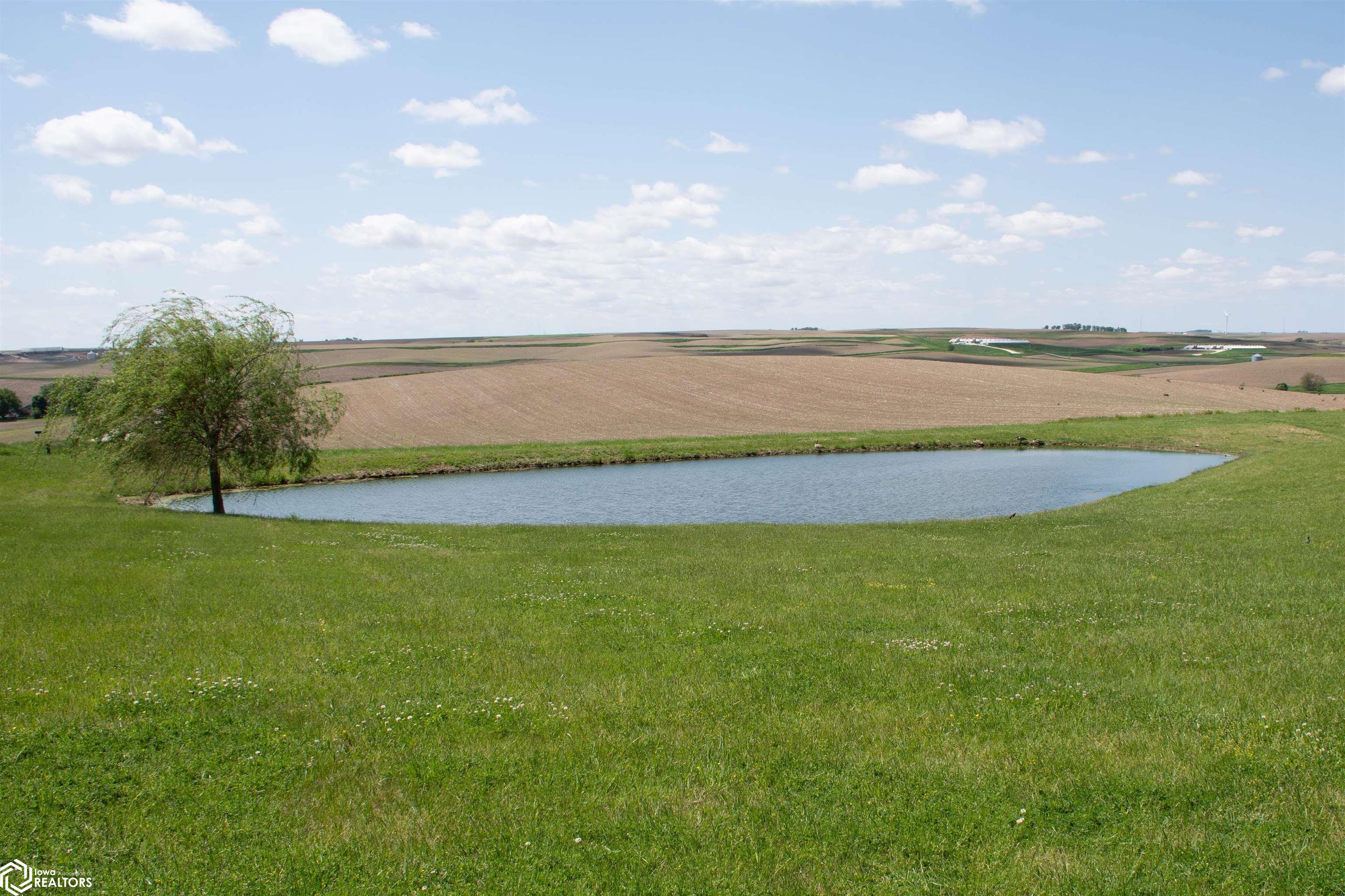 portfolio-image