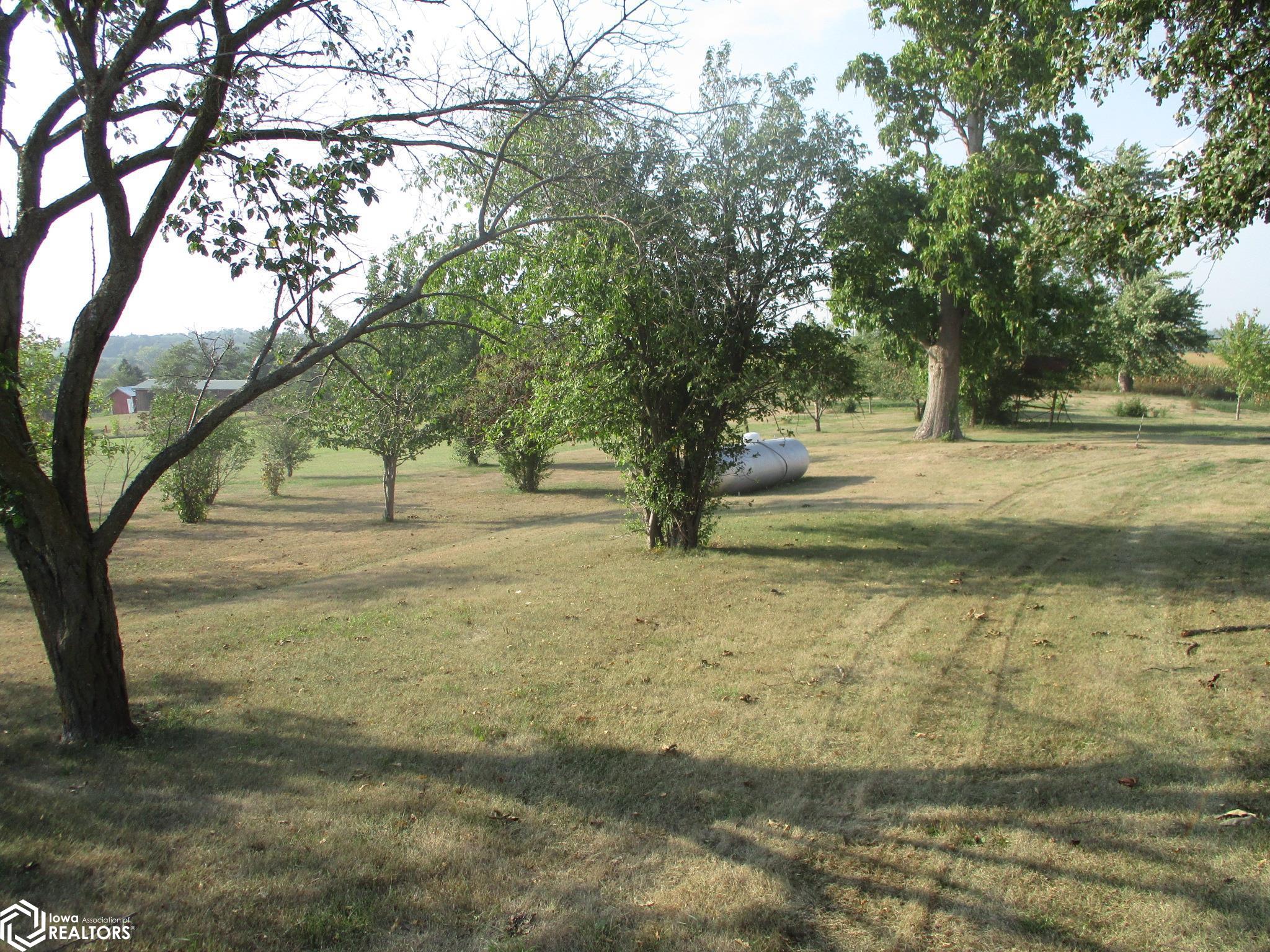 2975 275th Street, Clutier, Iowa image 3