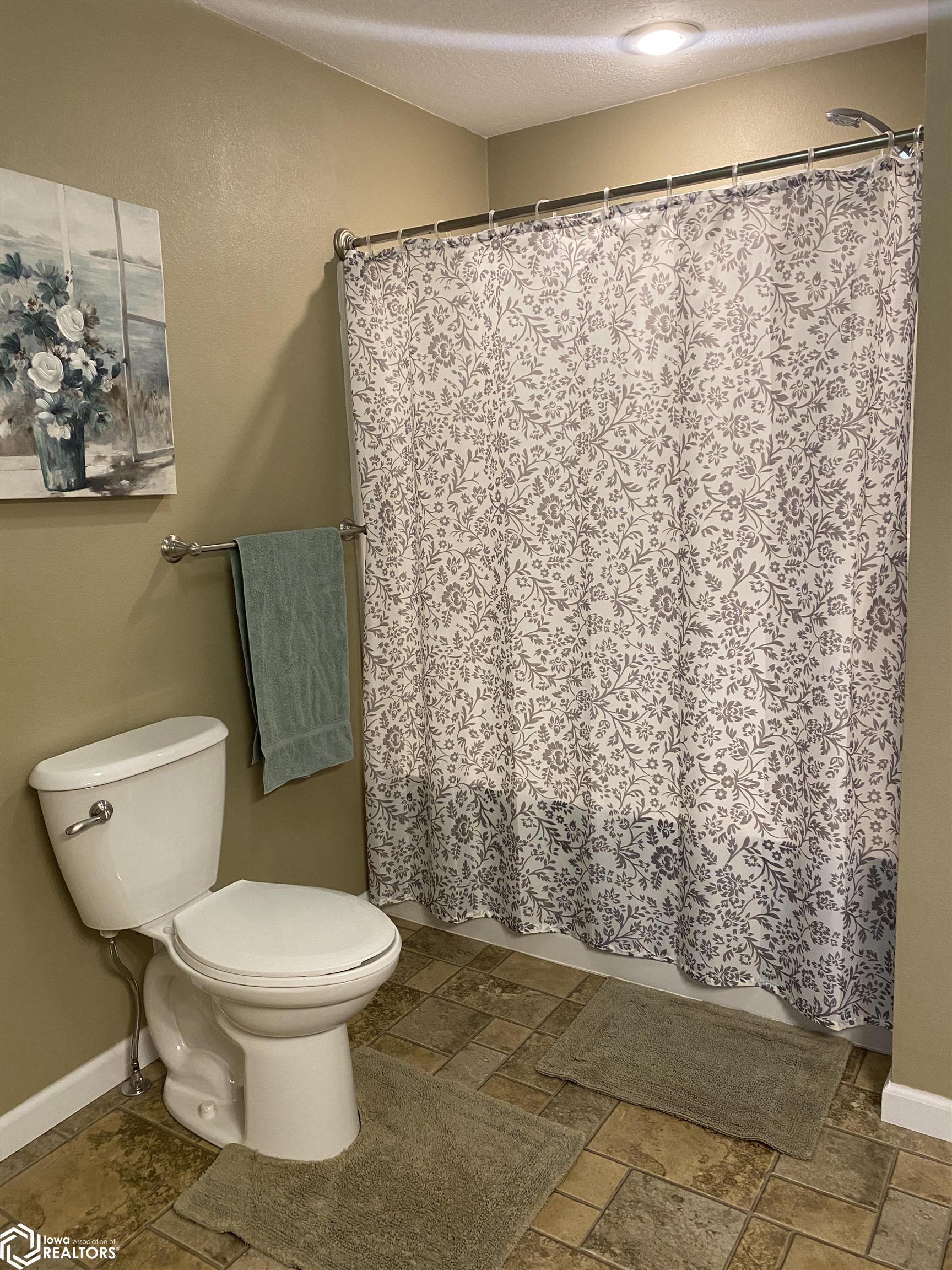 408 1st Avenue, Coon Rapids, Iowa image 14