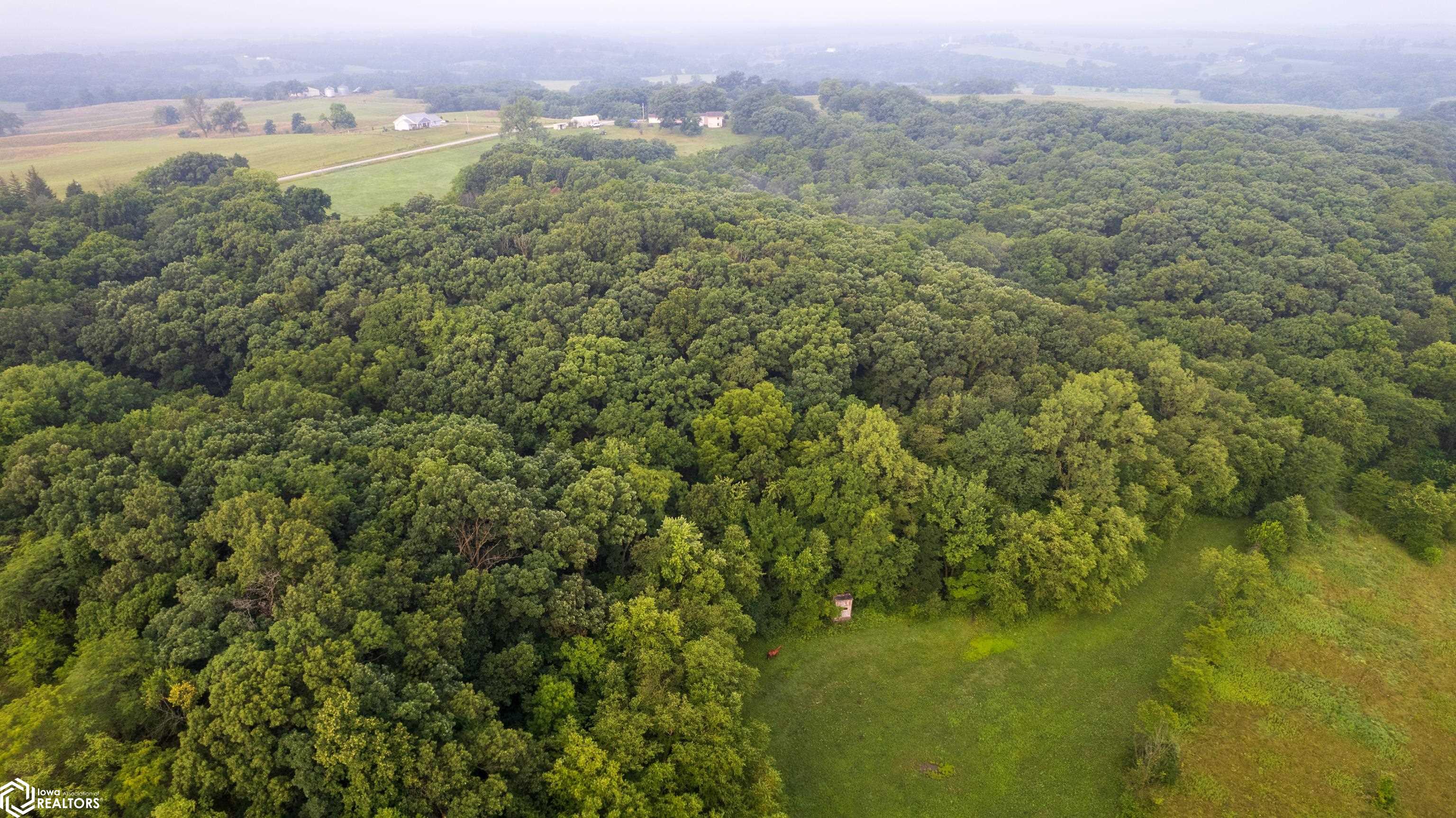 6001 145th Trail, Albia, Iowa image 44