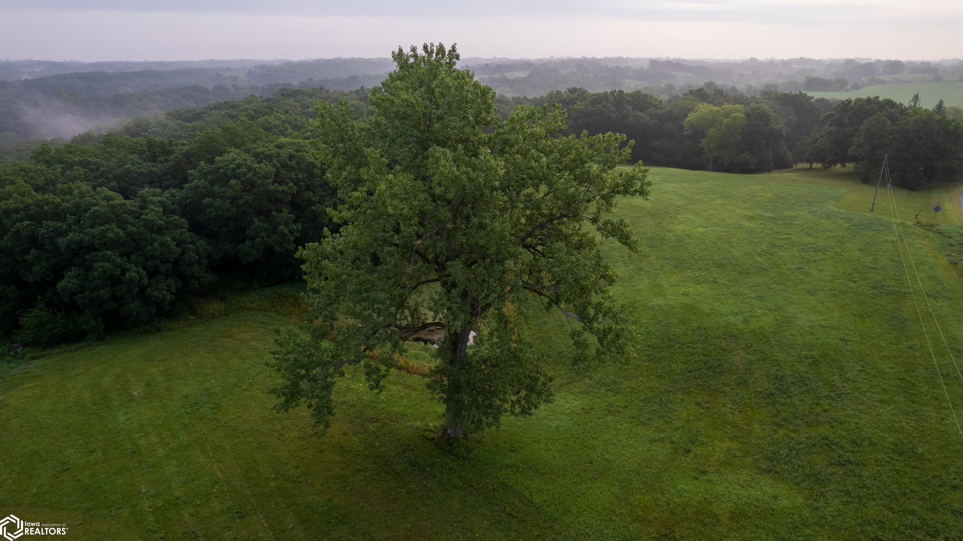 6001 145th Trail, Albia, Iowa image 47