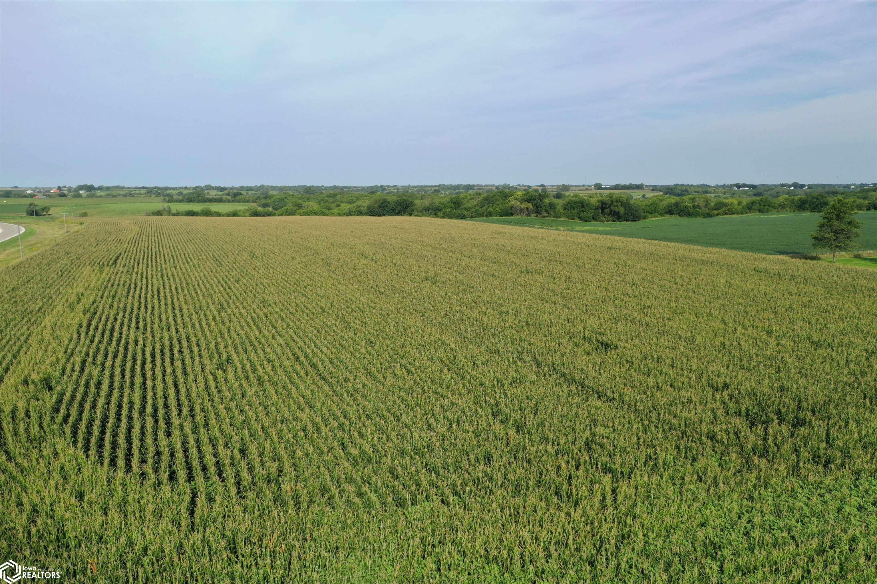 Hwy G76 & 190th Avenue, Lacona, Iowa image 3