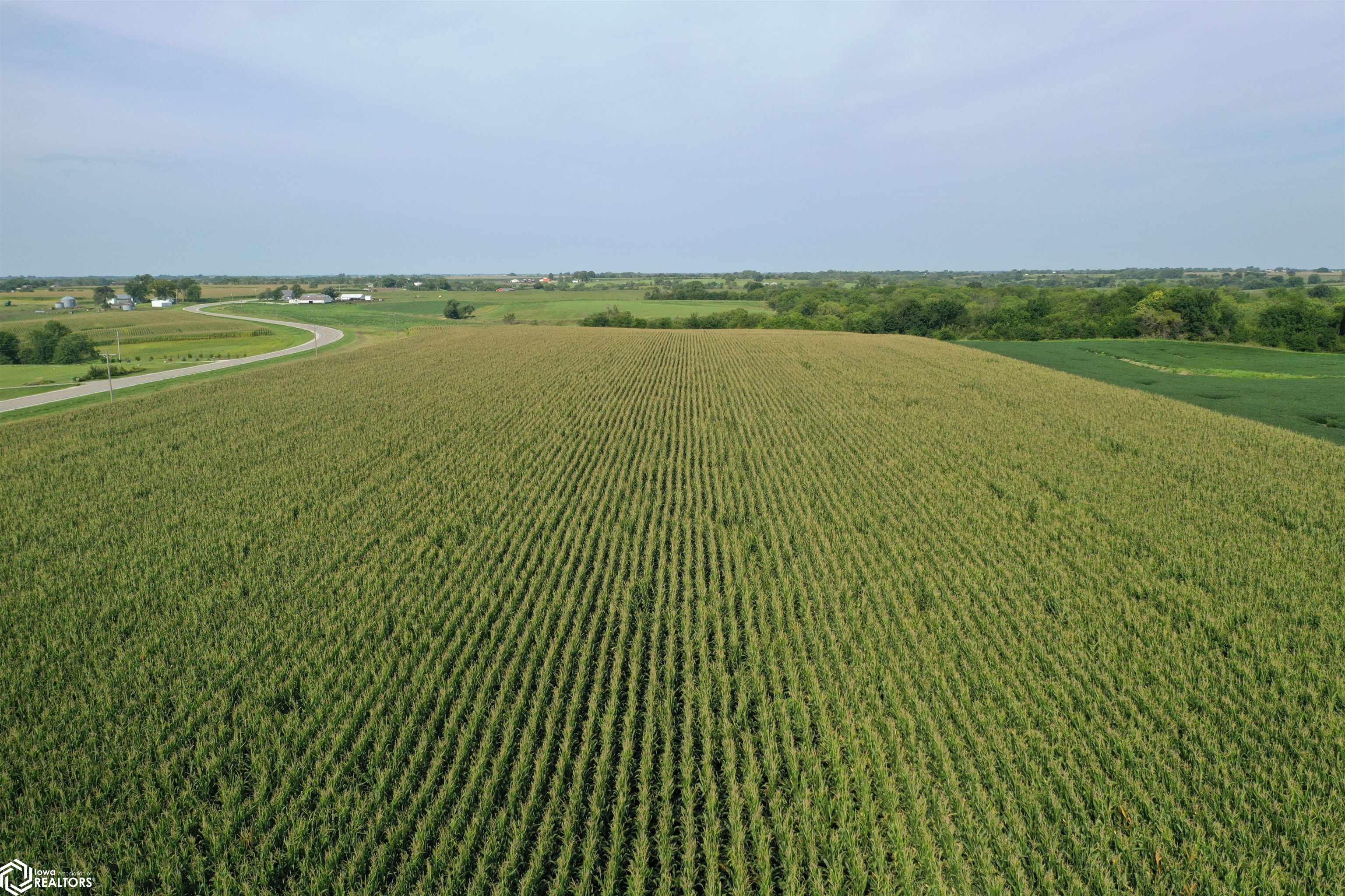 Hwy G76 & 190th Avenue, Lacona, Iowa image 5