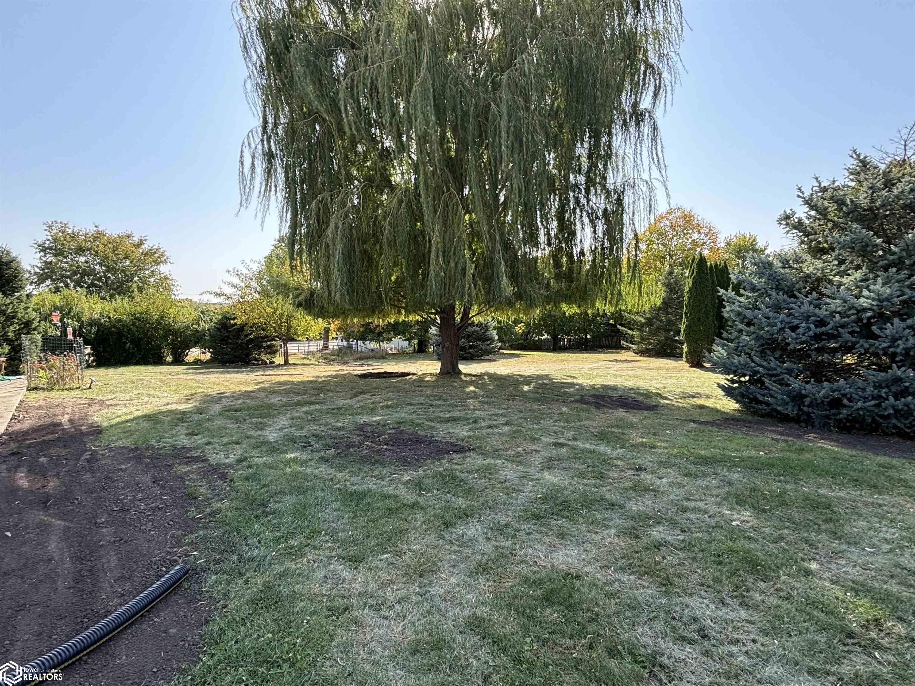 725 Sherman Street, Iowa Falls, Iowa image 9