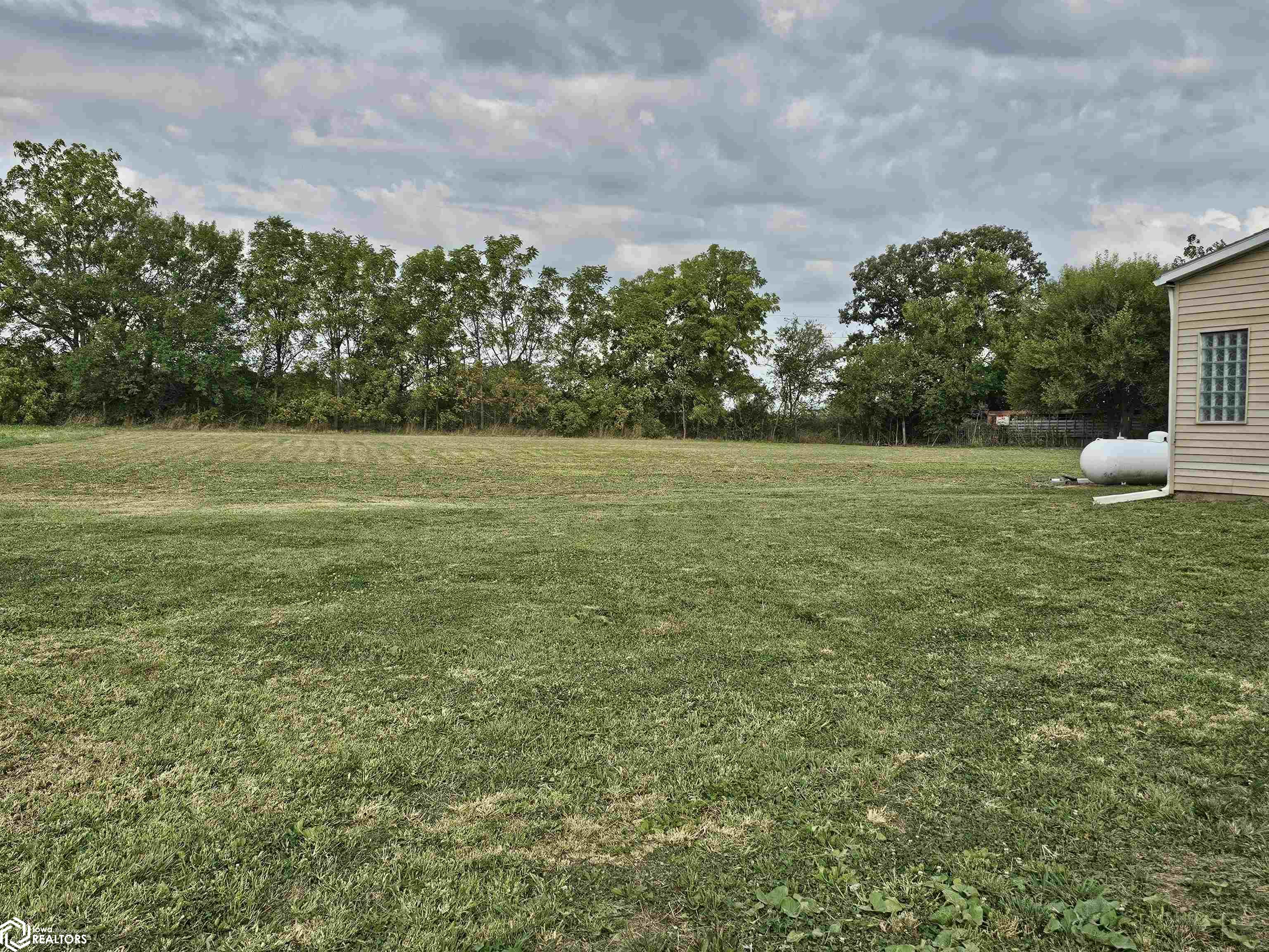 Side yard and back yard