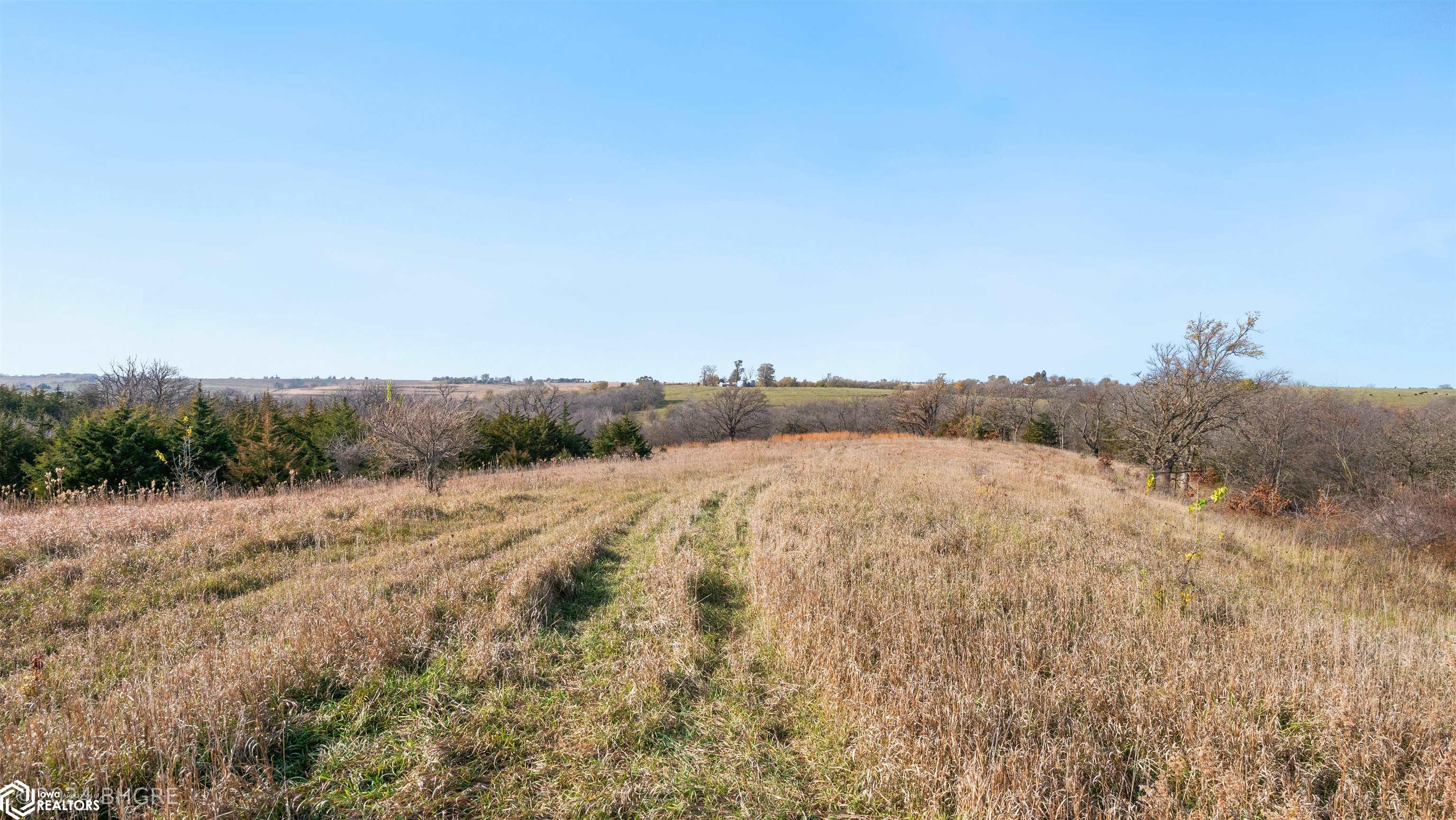 32700 BLK Tulip Trail, Menlo, Iowa image 2