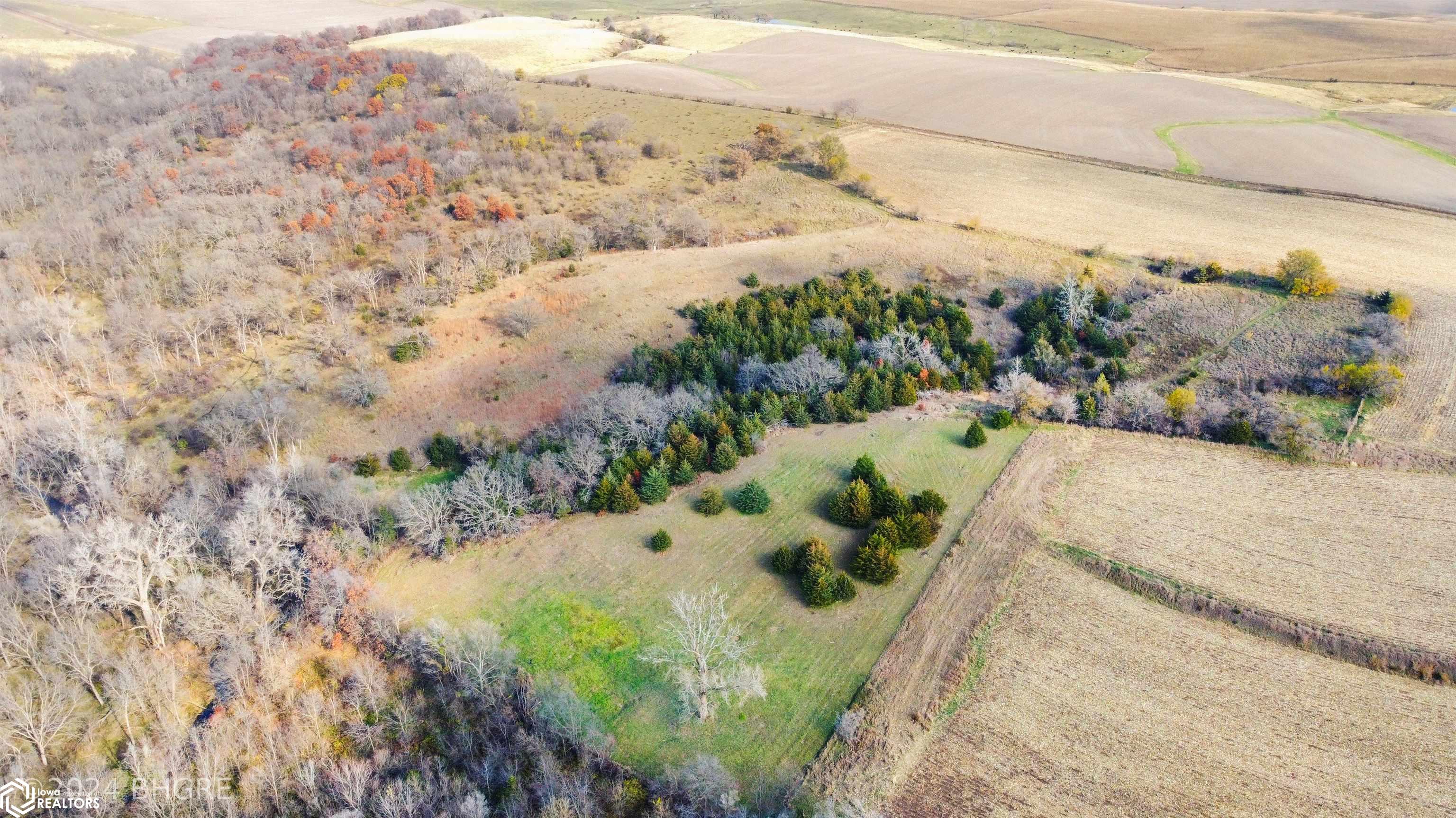 32700 BLK Tulip Trail, Menlo, Iowa image 15