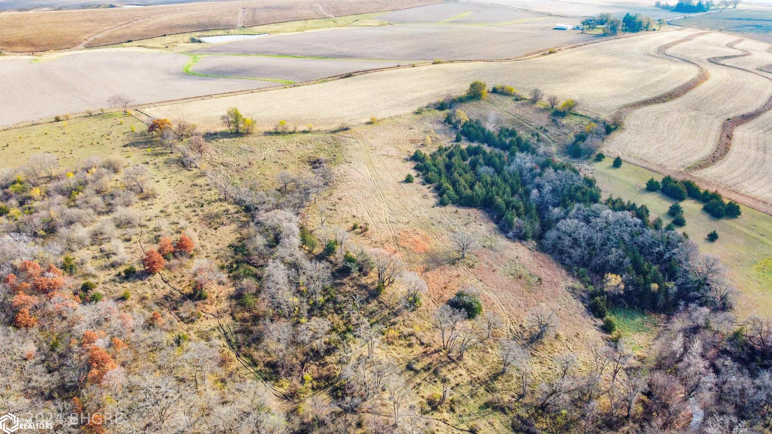 32700 BLK Tulip Trail, Menlo, Iowa image 17