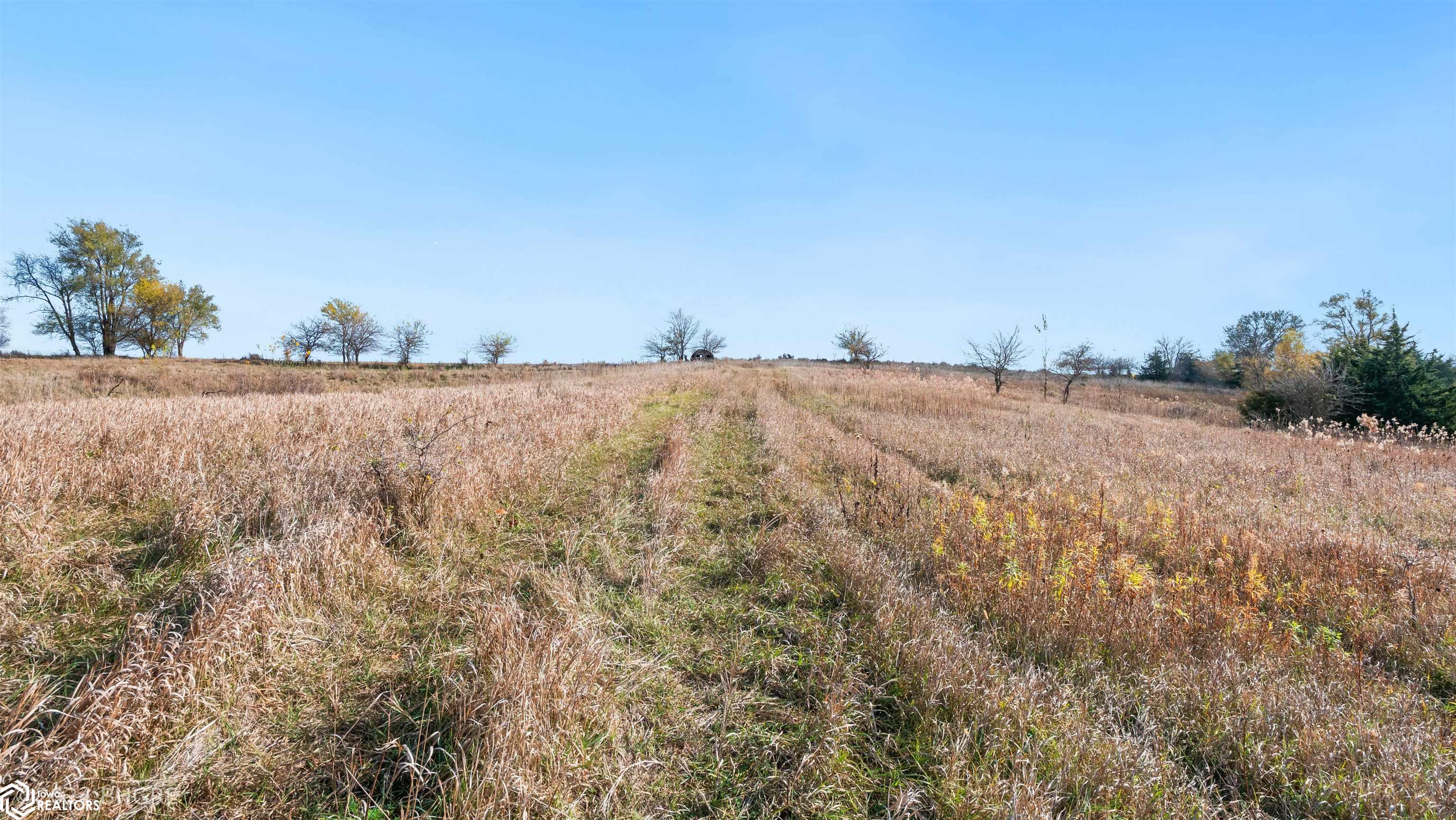 32700 BLK Tulip Trail, Menlo, Iowa image 4